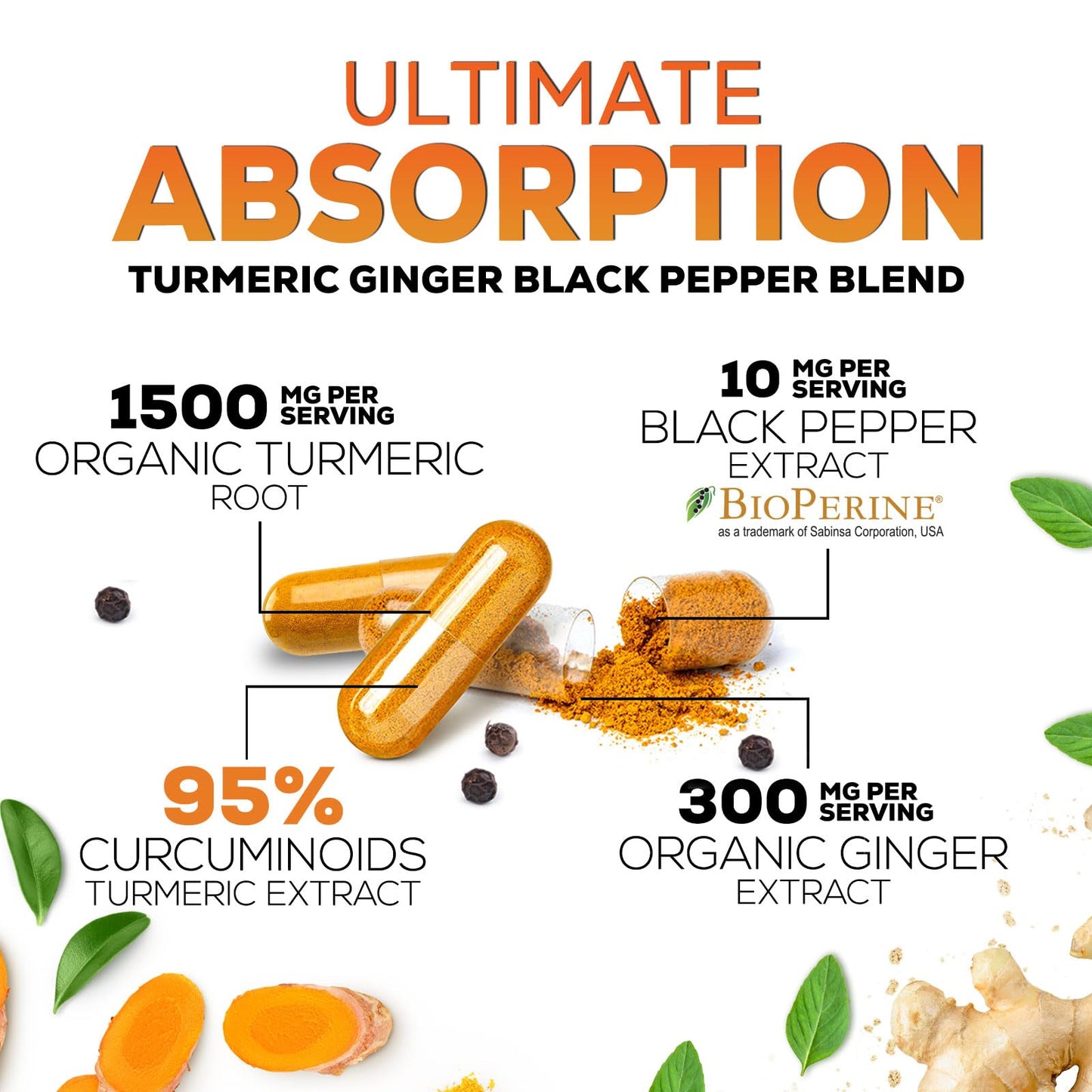 Nature's Nutrition Turmeric Curcumin Supplement Capsule, 60 Capsules
