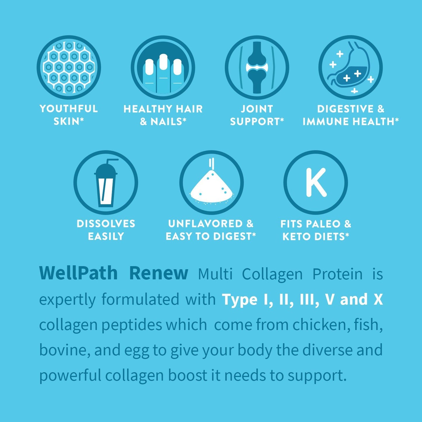 WellPath Multi Collagen Peptides Powder 11 oz