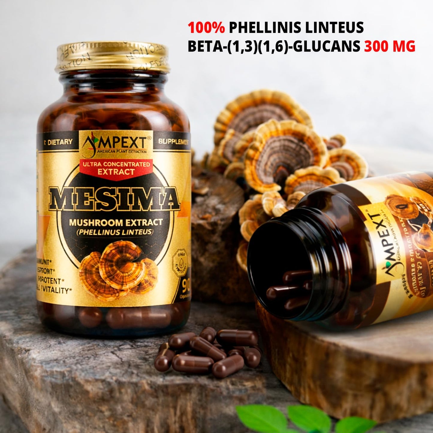 AMPEXT Phellinus linteus Mushroom Extract Capsule, 90 Veg Caps