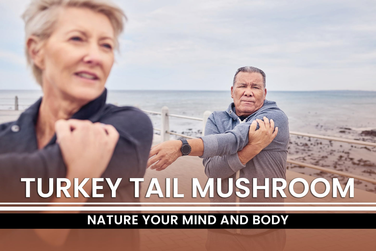 PURE ORIGINAL INGREDIENTS Turkey Tail Mushroom Capsule 1