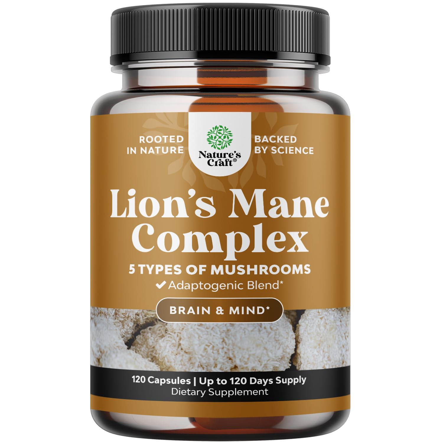 Natures Craft Advanced Lion's Mane Mushroom Supplement Capsules with Reishi, Chaga, Maitake & Shiitake for Brain Health, Memory Support & Focus - Nootropic for Mental Clarity, 120 Capsules