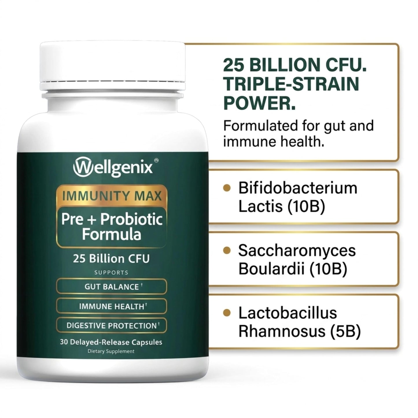 Wellgenix Immunity Max Probiotic 25 Billion CFU – Bifidobacterium Lactis, Saccharomyces Boulardii & Lactobacillus Rhamnosus – Gut Balance & Immune Support – 30 Vegetarian Delayed-Release Capsules