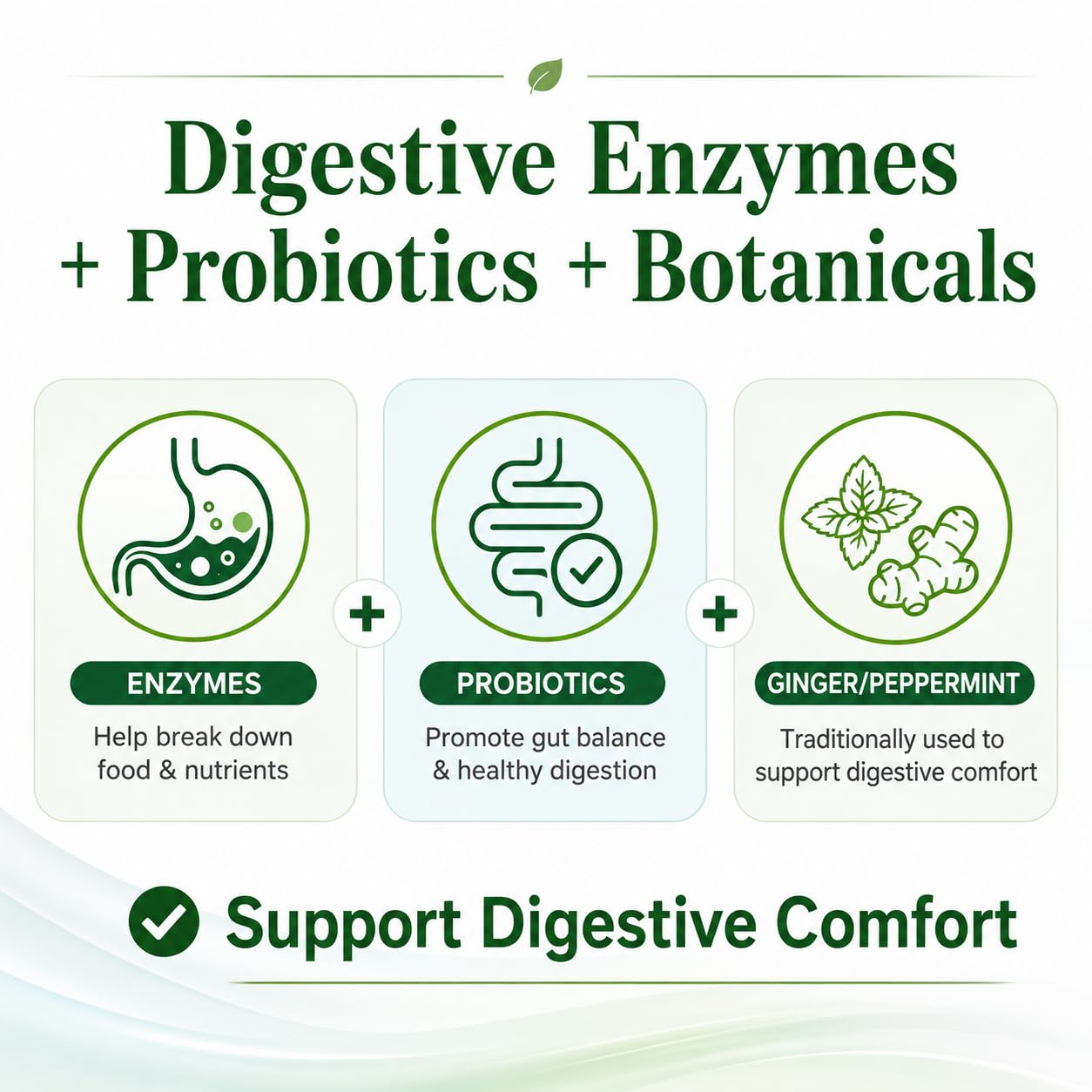 Lorentivra Daily Gut Health Supplement with 13 Digestive Enzymes, Prebiotics, Probiotics & Magnesium Complex Capsules, 60 Capsules