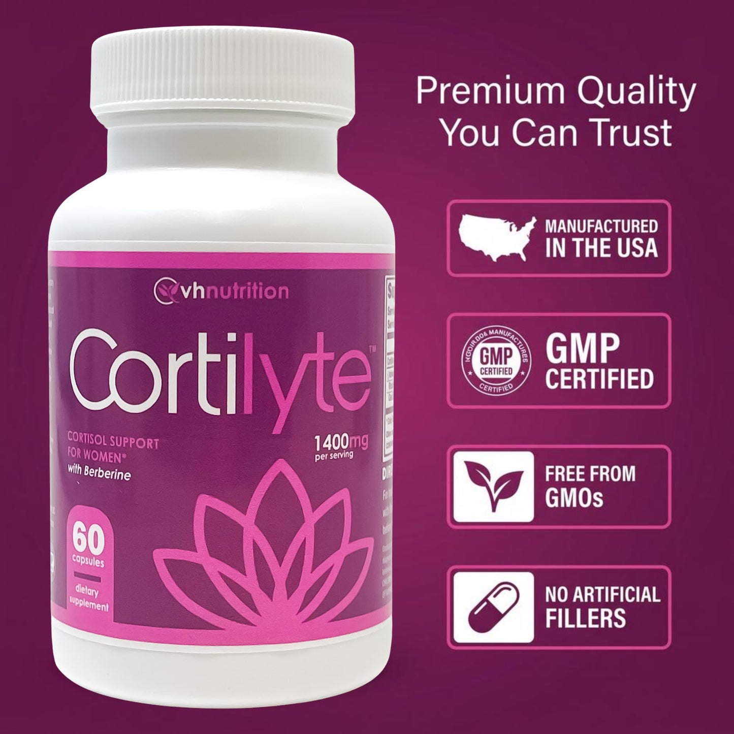 VH Nutrition CortiLyte with Ginkgo Biloba Capsules 60 Count