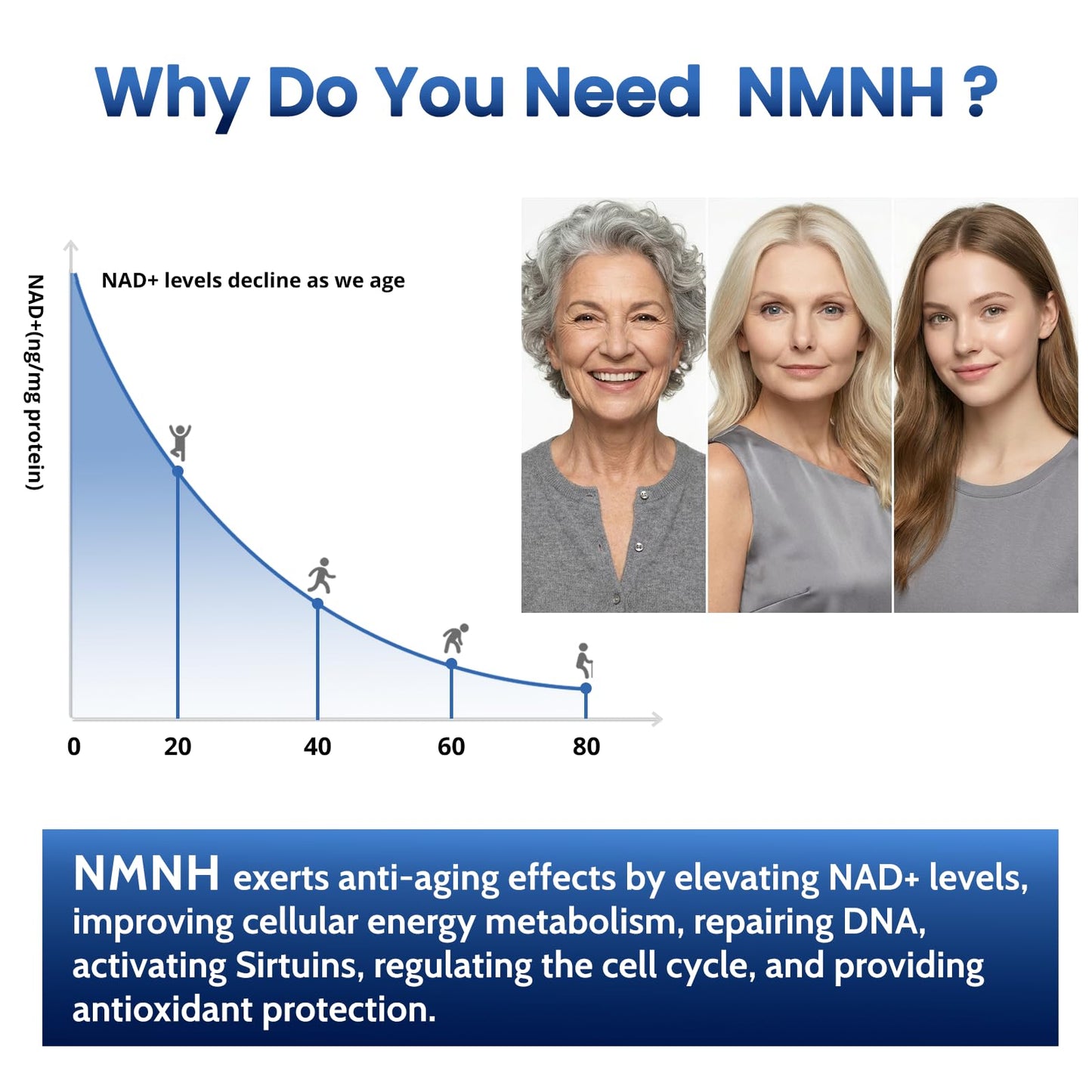 HEALGUT Liposomal NMNH 600mg NAD+ Supplement Capsule, 120 Capsules