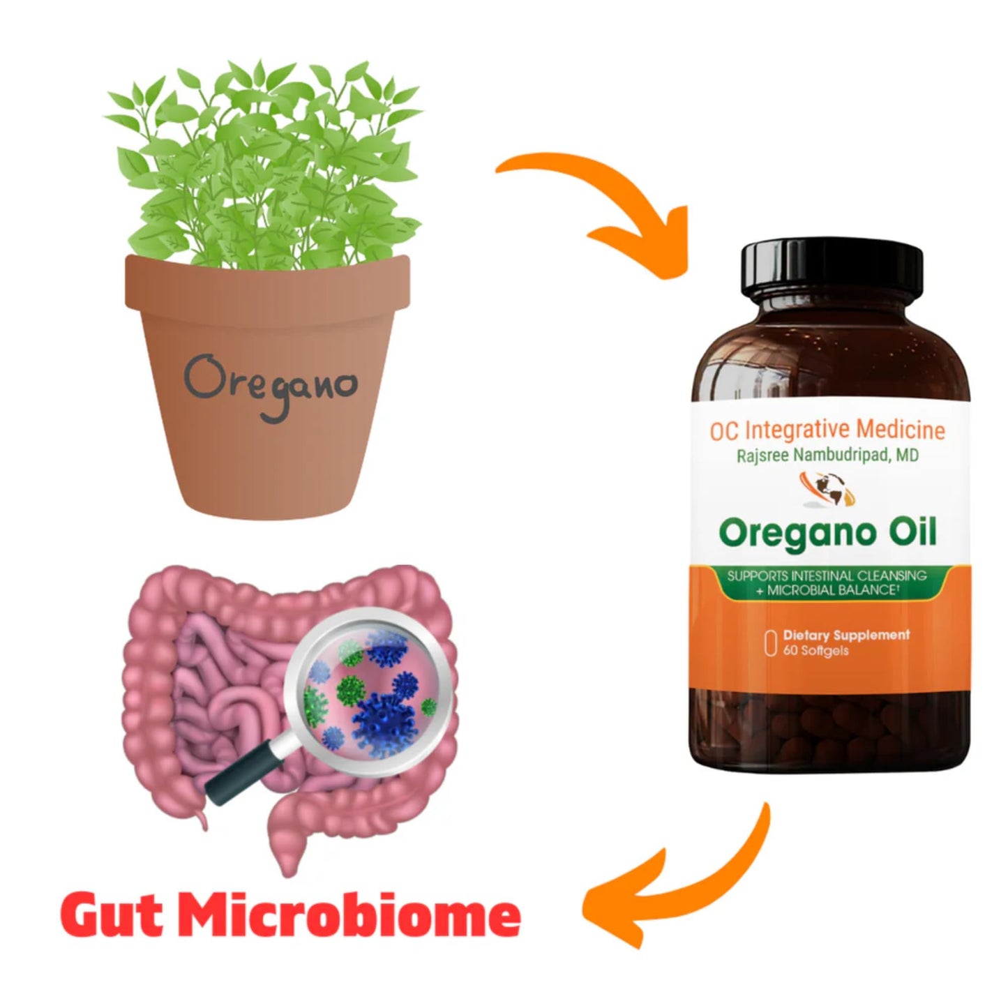 Dr. Rajsree Oregano Oil Softgel 60 Count