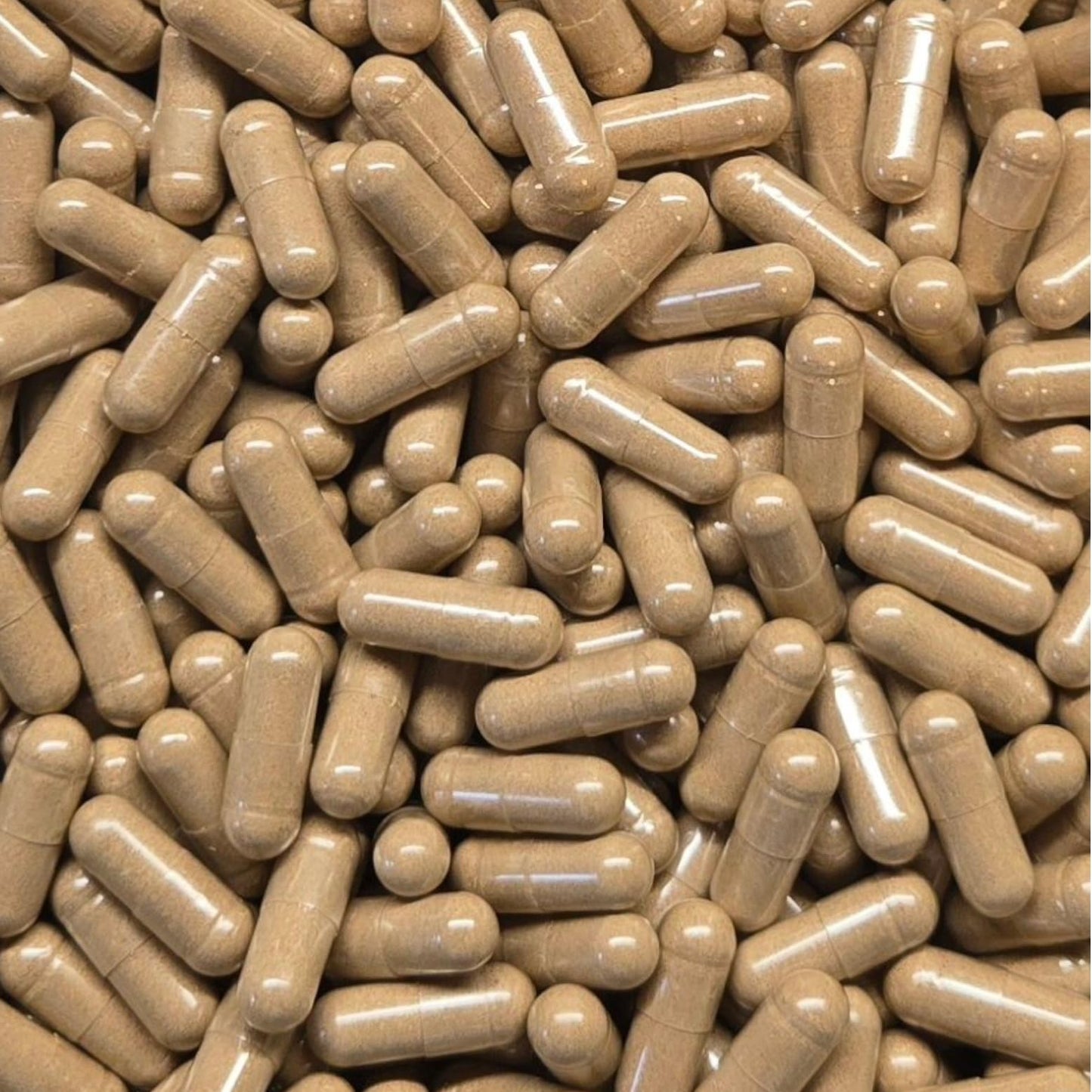 Generic Nettle Leaf Powder (Urtica Dioica) Capsules 480 Count