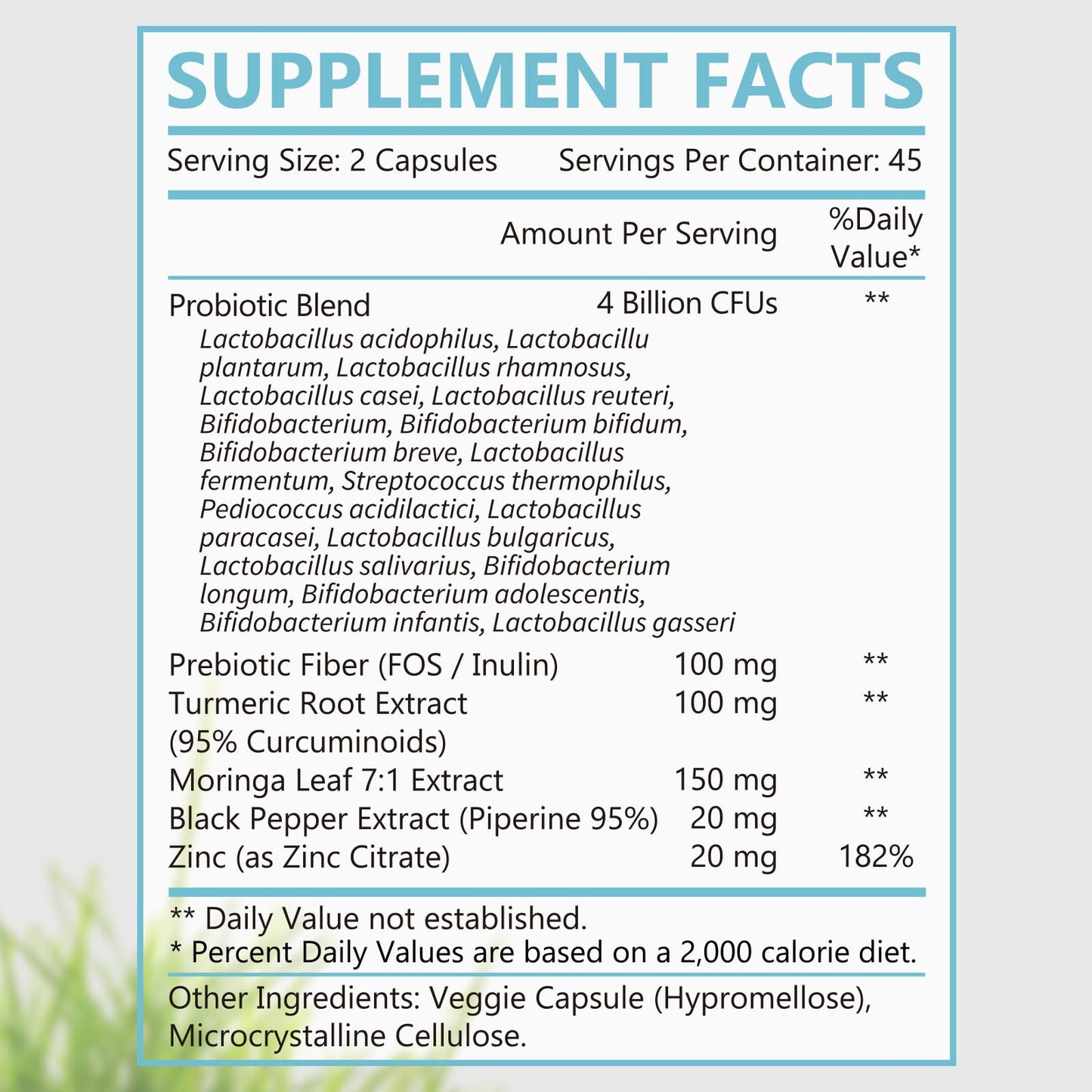 PolePlus Probiotic Supplement for Women & Men 4 Billion CFU Digestive Support with Prebiotic Fiber, Turmeric Root Extract, Moringa Leaf & Black Pepper, Non-GMO, 90 Capsules