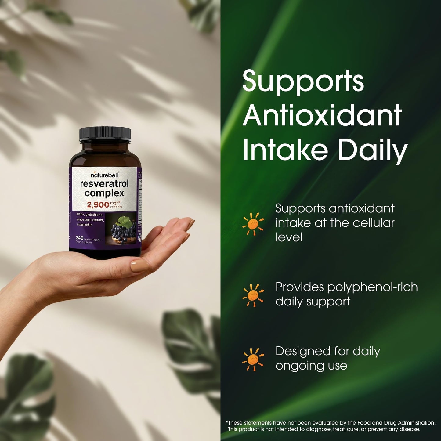 NatureBell Resveratrol Complex Capsule 1 Count