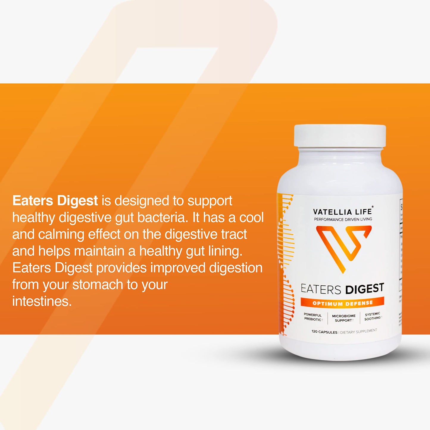 Vatellia Life Prebiotic Probiotic Digestive Support Capsule 120 Count