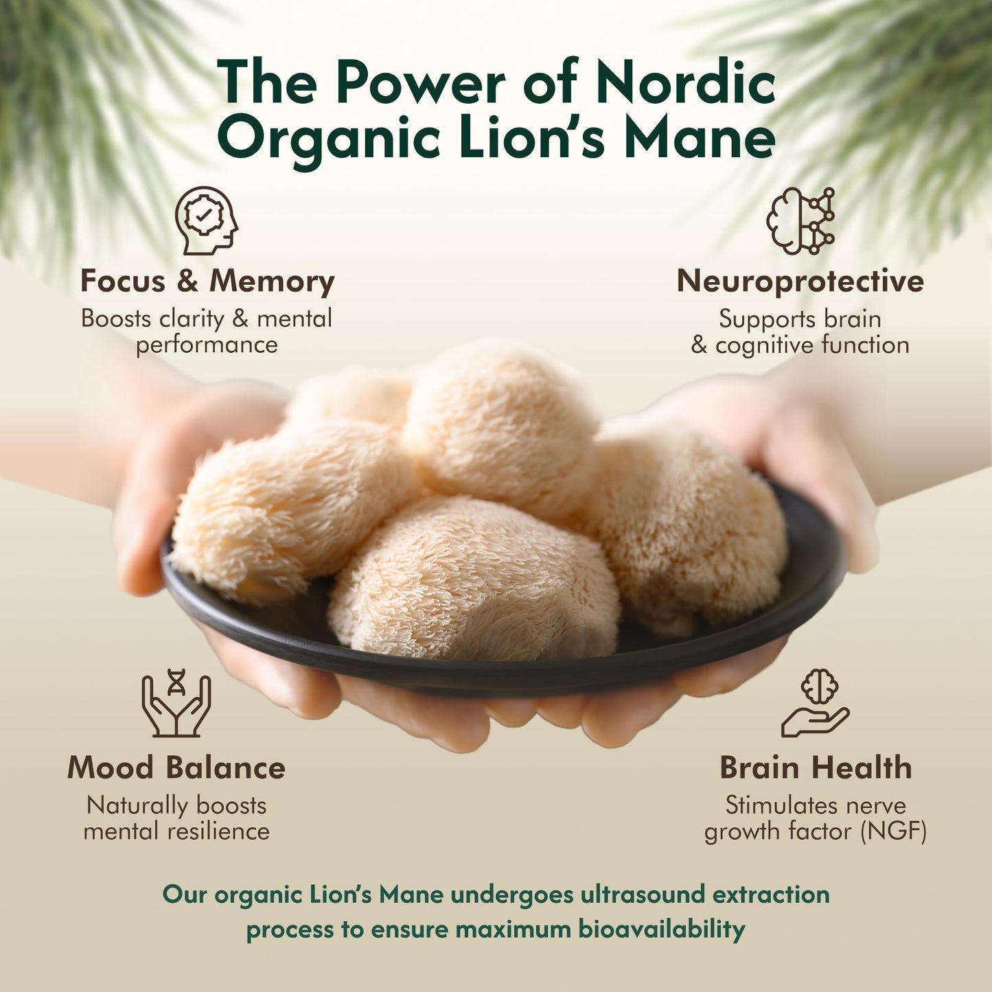 Nordic Organic Lion’s Mane Ultrasound Extract Capsules 120 Capsules