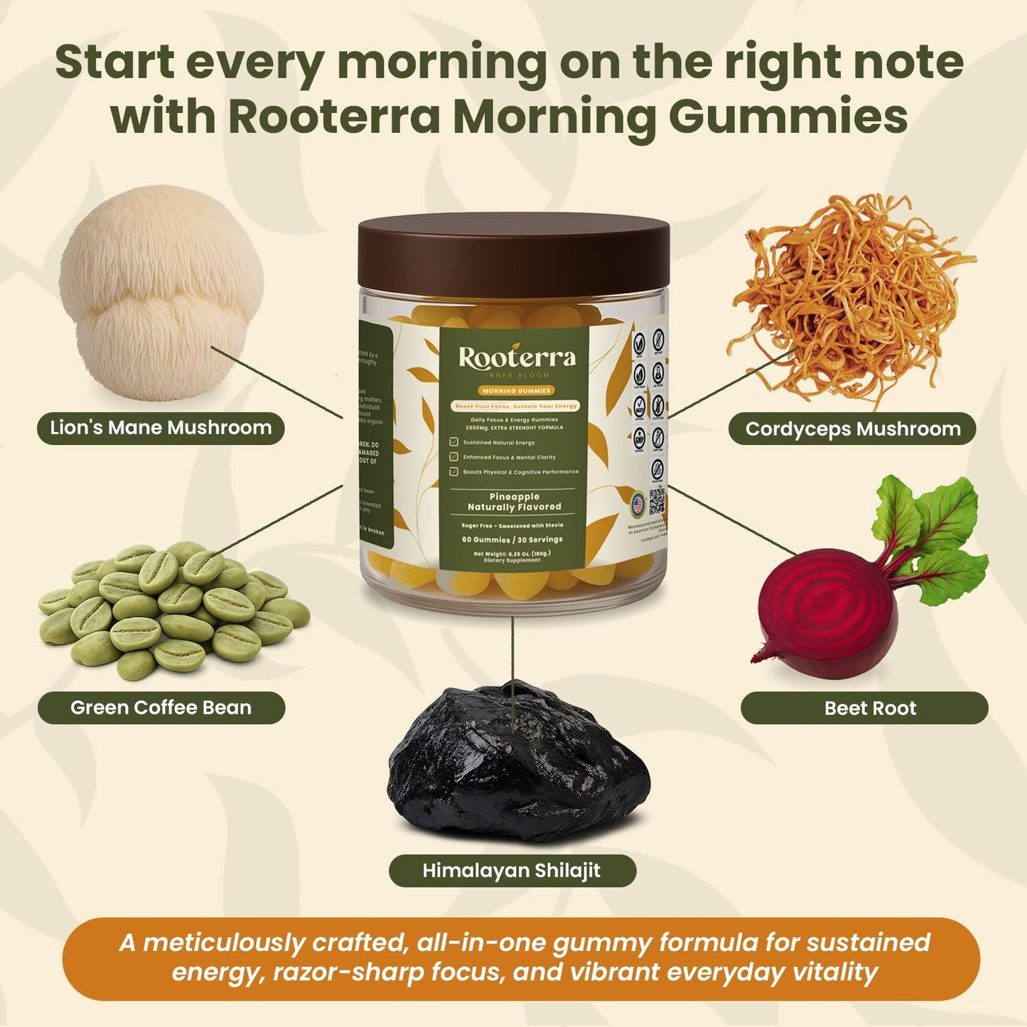 Rooterra Inner Bloom Pure Shilajit Gummies with Lion’s Mane & Cordyceps – Morning Energy & Focus – Green Coffee & Beet Root – Pineapple, 60 Gummies