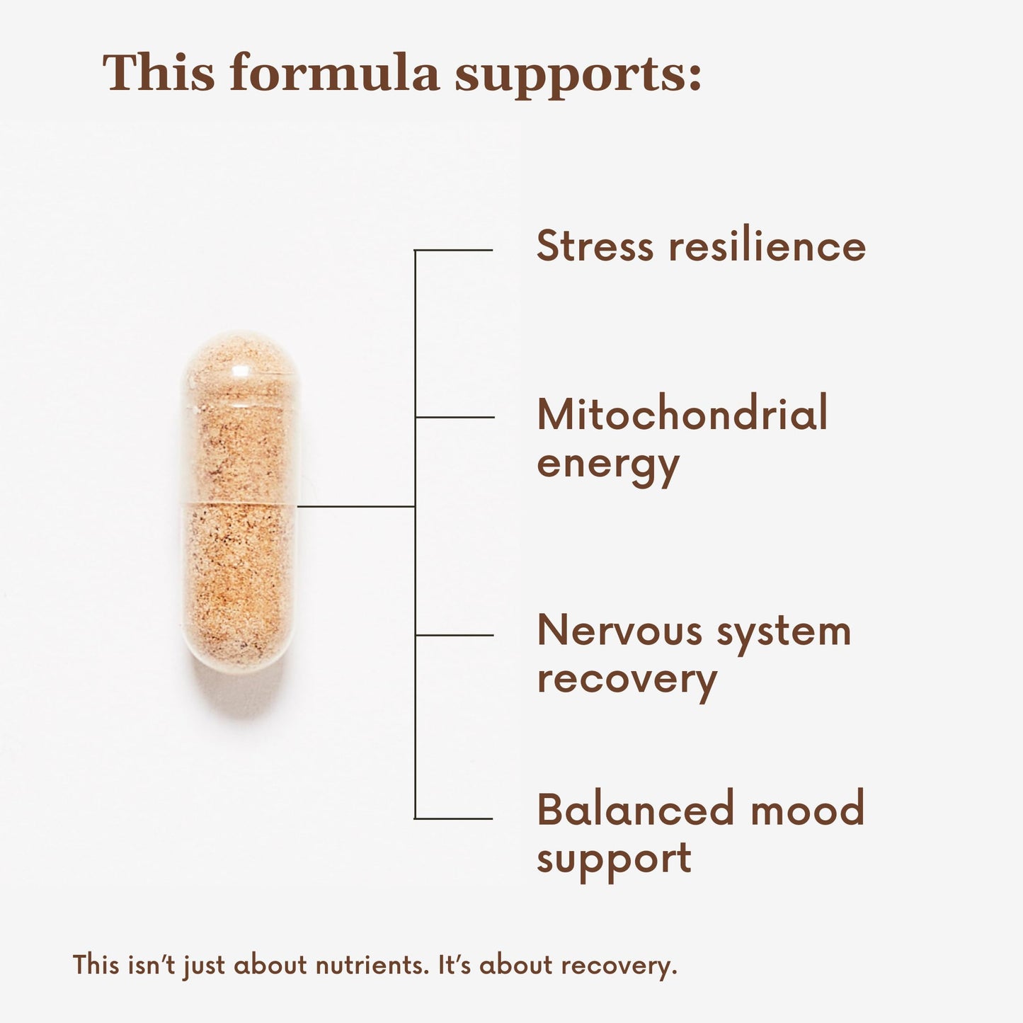 Stomach Bloom Postnatal Health Supplement for New Moms Capsule, 60 Count