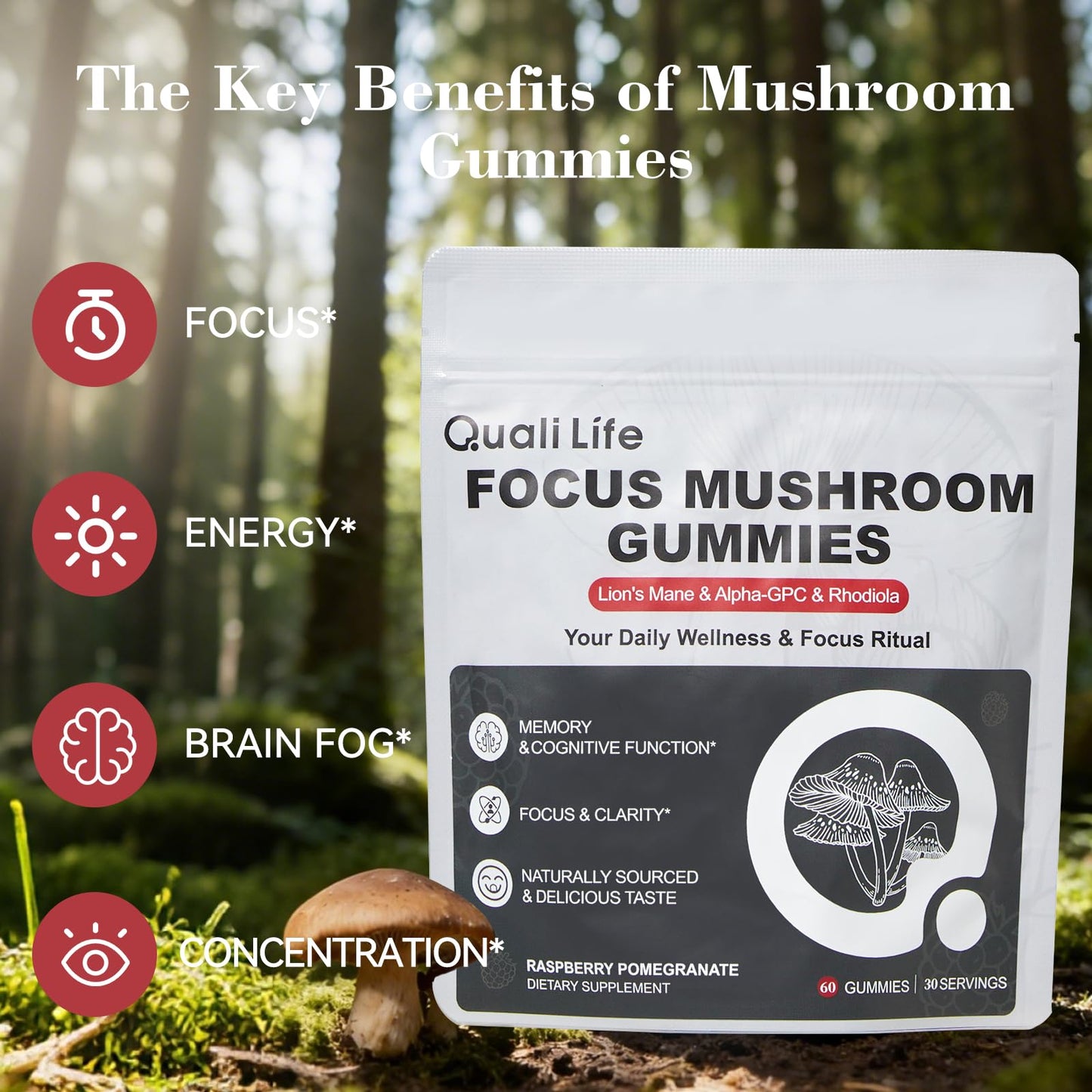 QualiLife Mushroom Gummies with Lion’s Mane, Alpha-GPC & Rhodiola - 12 in 1 Mushroom Complex Supplement with Reishi, Cordyceps, Chaga & Turkey Tail – Brain Focus & Memory Support, 60 Gummies