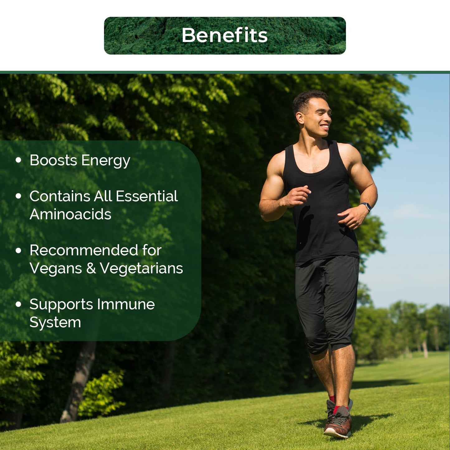 NUTRINPRO USDA Organic Spirulina Capsules, 120 Capsules
