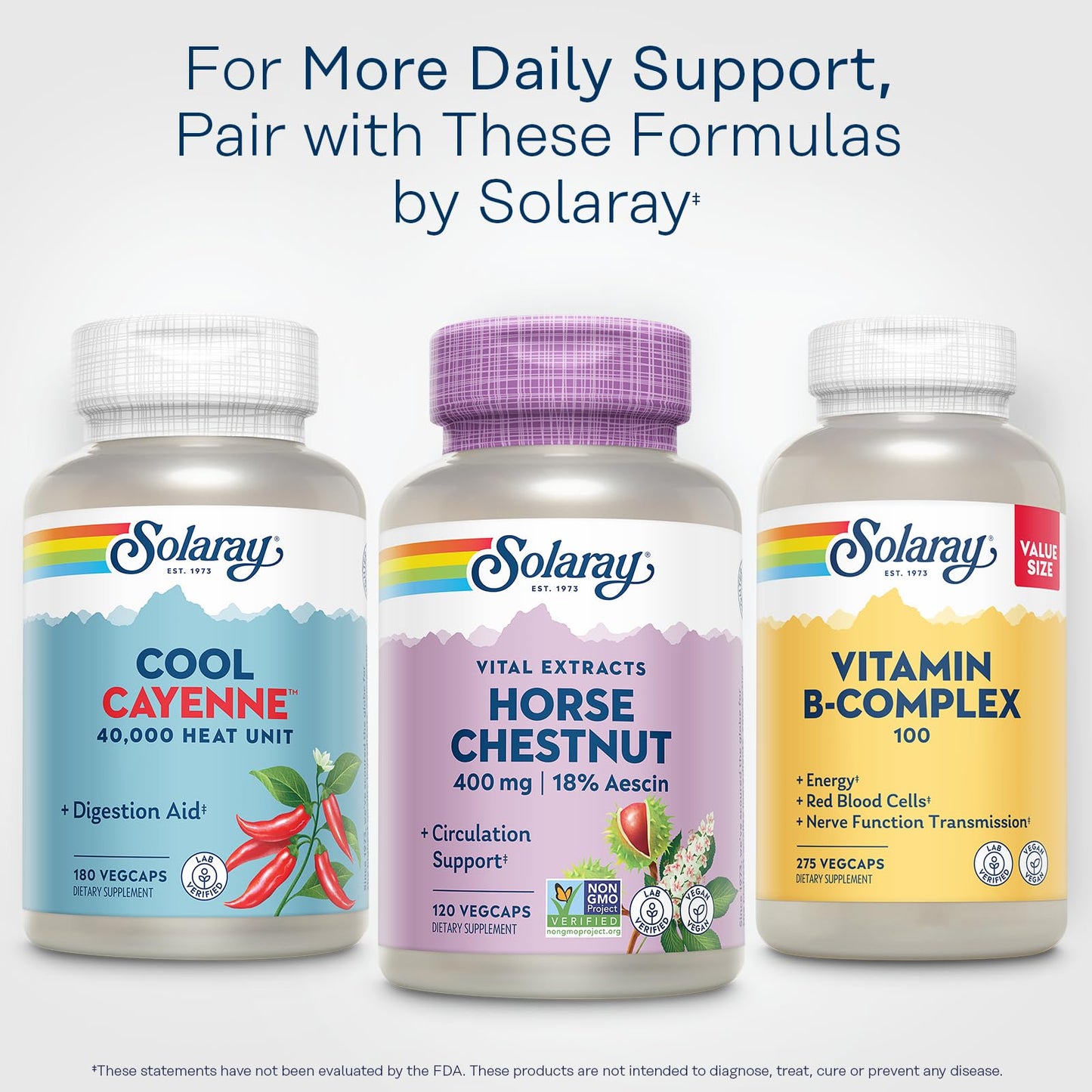 SOLARAY Horse Chestnut Extract 400 mg - Standardized to 72 mg Aescin - with 55 mg Butchers Broom Capsules, 120 Count
