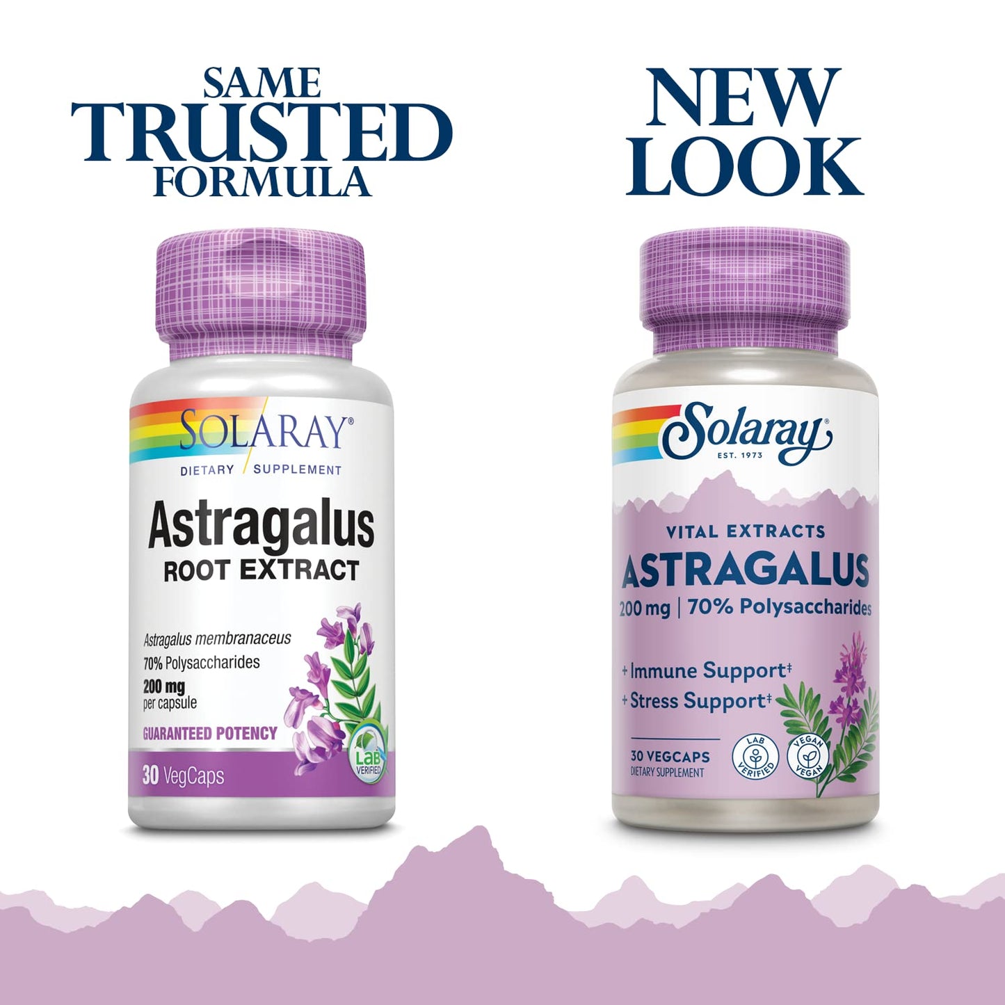 Solaray Astragalus Root Extract 200 mg Capsules, 30 VegCaps