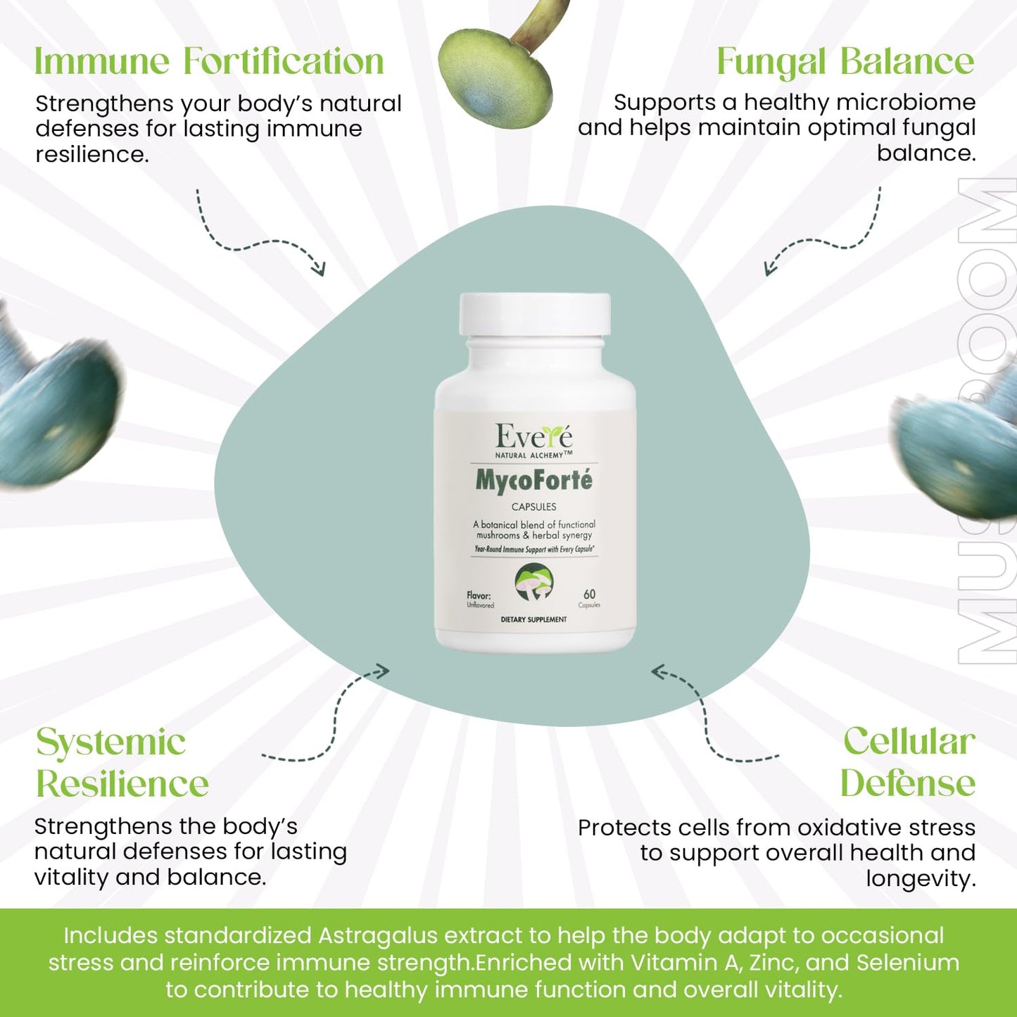 The EverÉ Natural Alchemy MycoForté Mushroom Immune Support Capsules, 60 Count