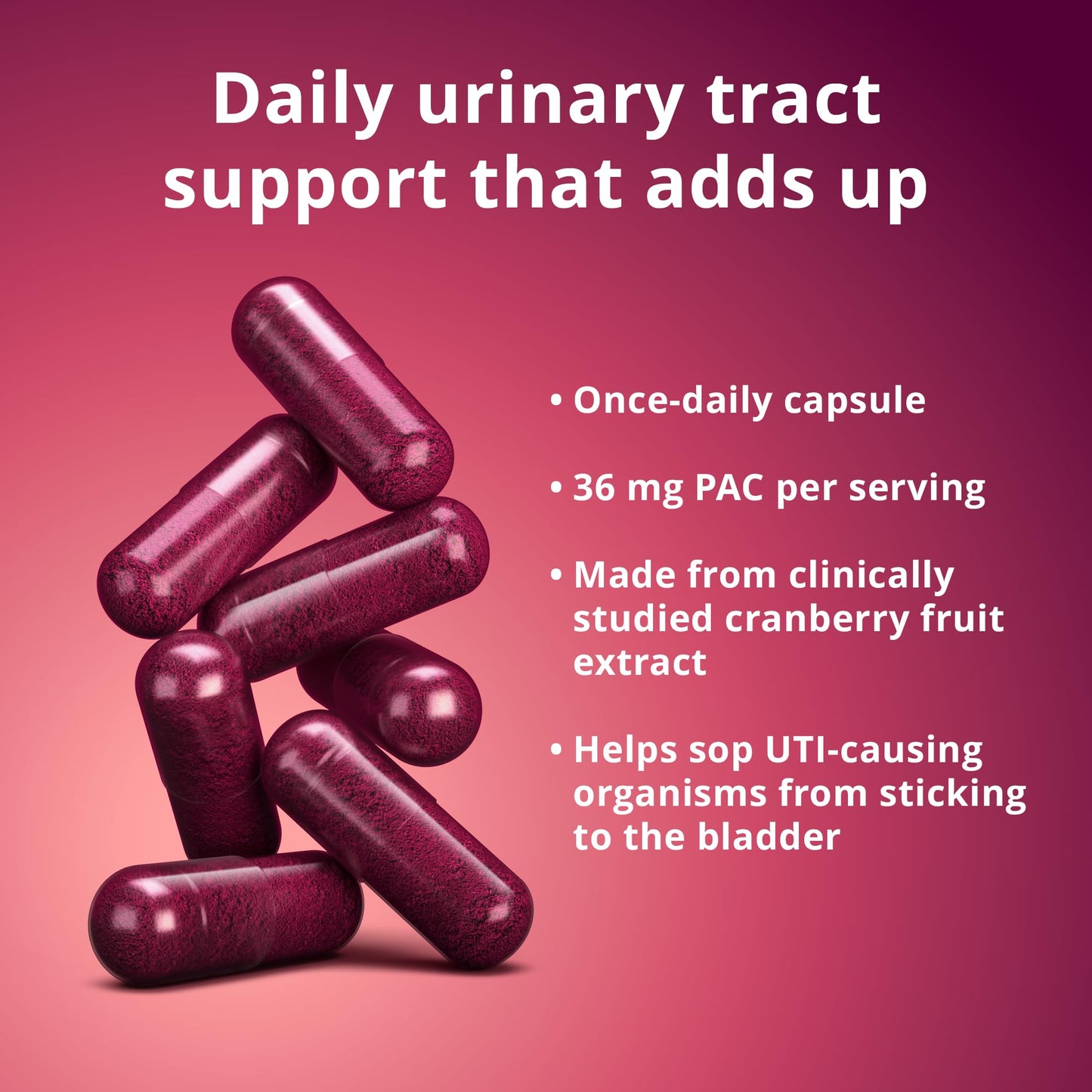 Solv Wellness Urinary Health 36 mg Cranberry PAC – Whole Cranberry Fruit Extract, Daily Urinary Tract Health Support, 30 Capsules