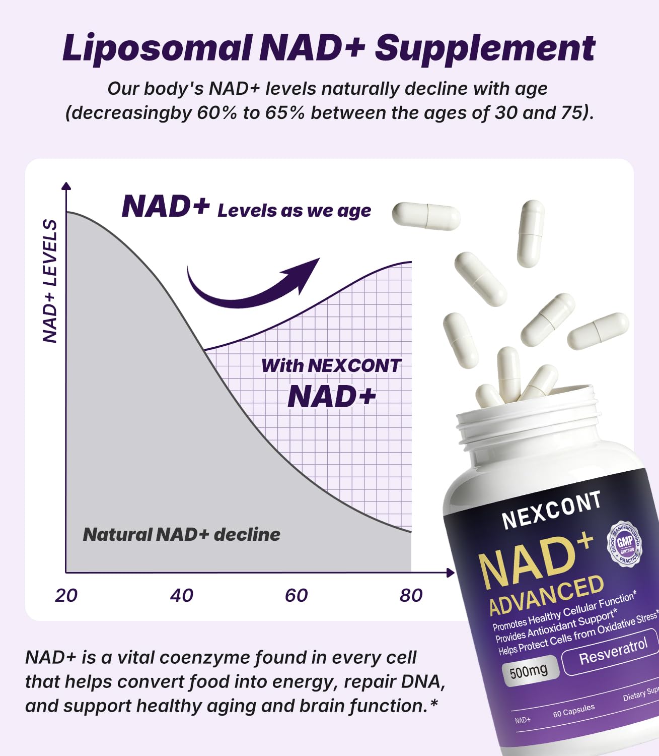 Oopeatol NAD Supplement with Resveratrol 500mg Capsule, 60 Capsules