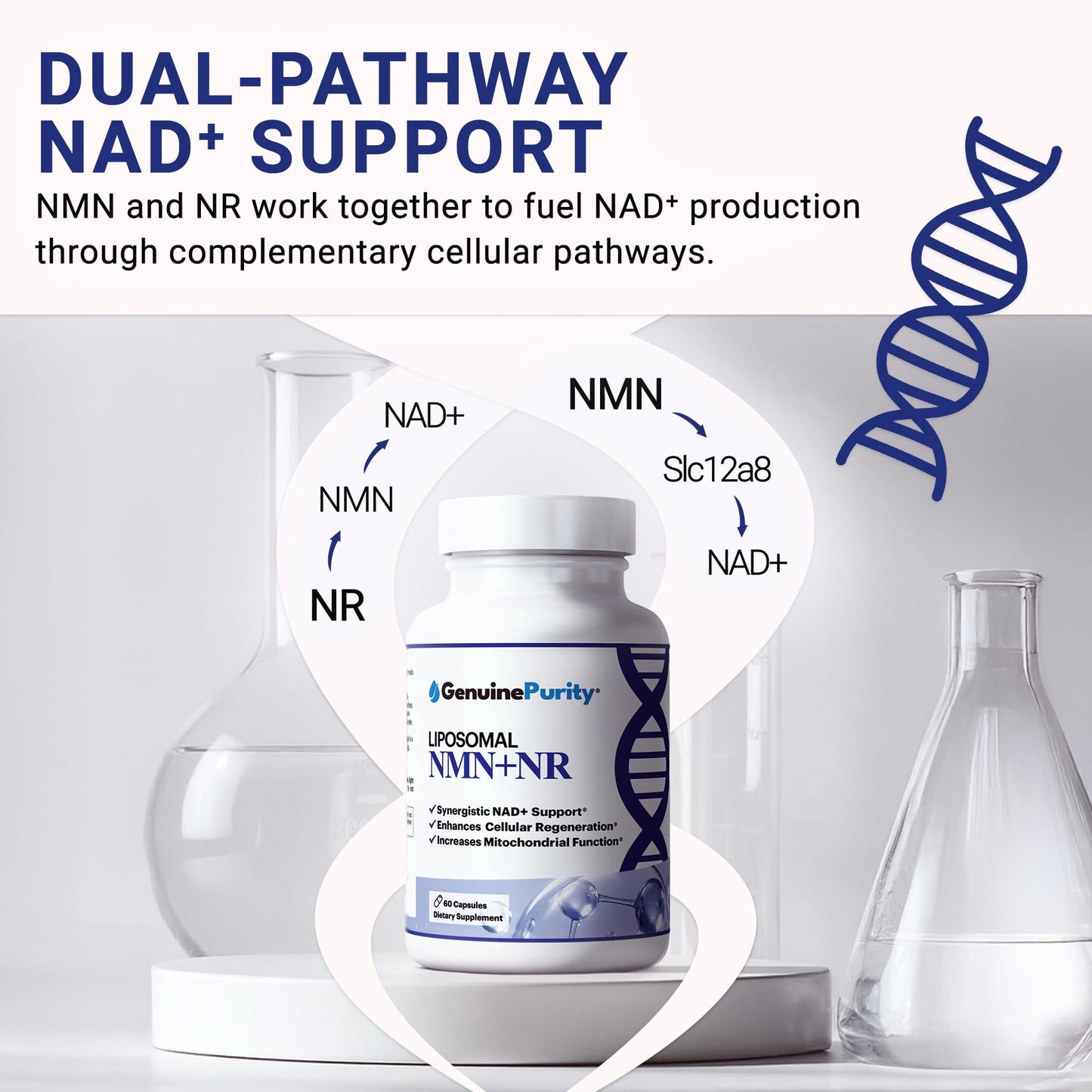 GenuinePurity Liposomal NMN + NR Supplement Capsule, 1 Count