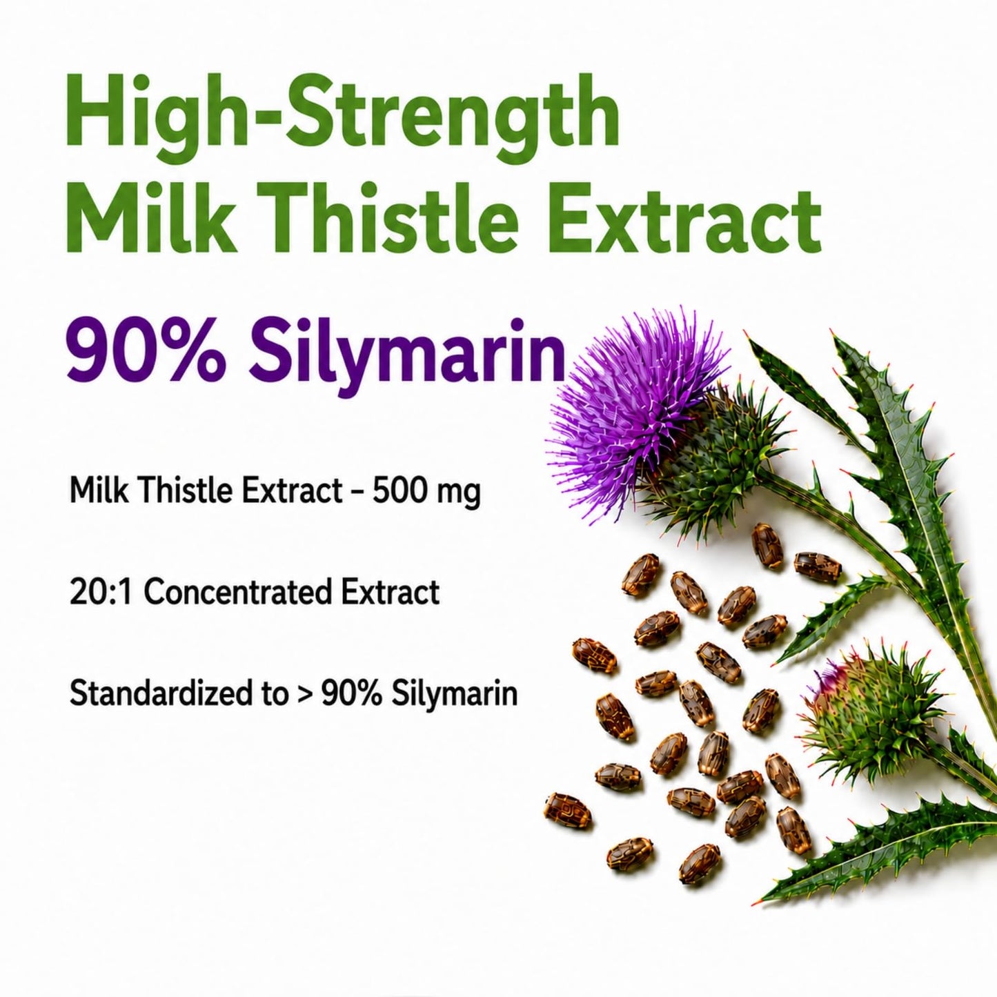 VBTOP NUTRA Milk Thistle Extract 500 mg 90% Silymarin Capsules 240