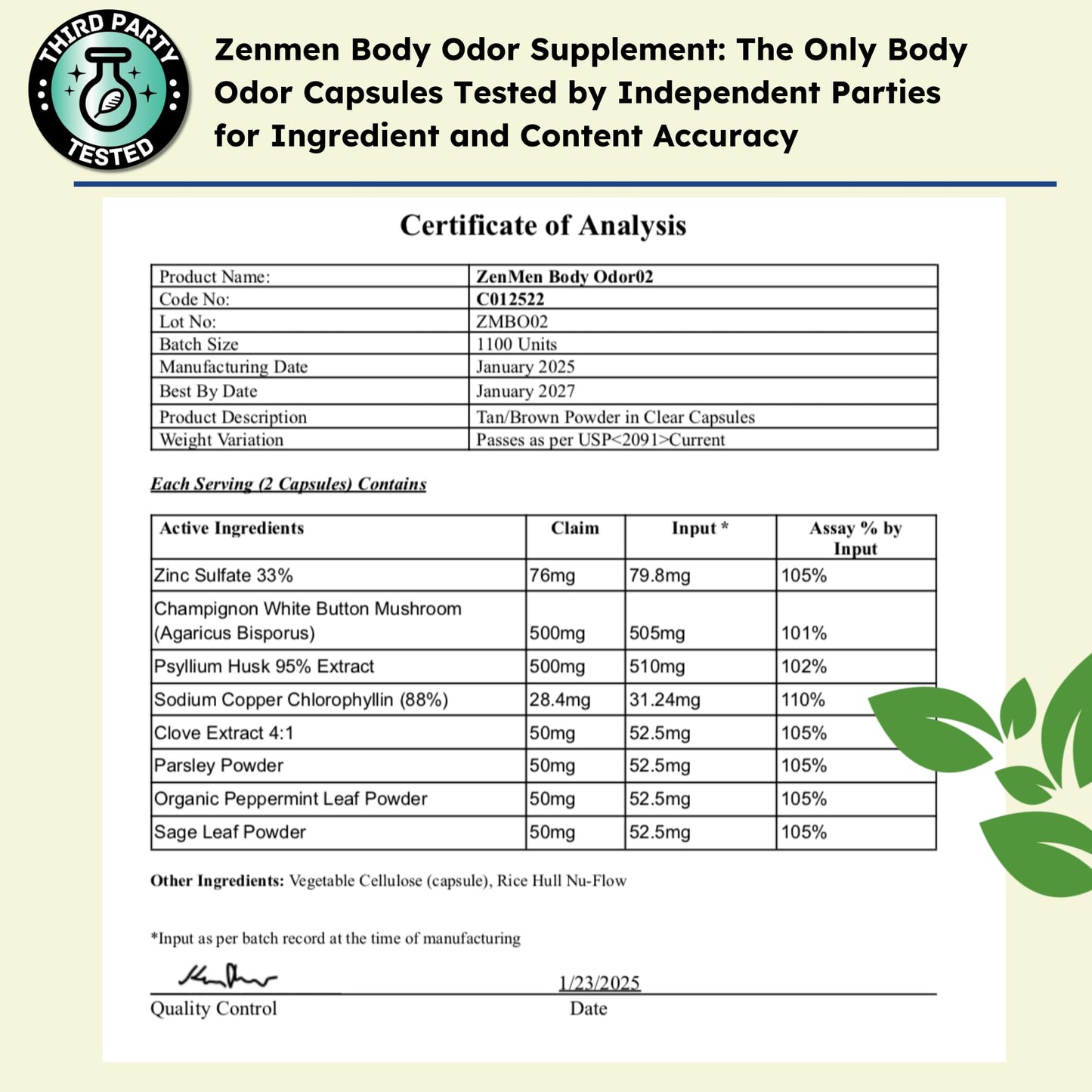 Zenmen Chlorophyll & Zinc Capsules - Internal Deodorant Supplement for Whole Body Freshness & Digestive Comfort, 60 Capsules
