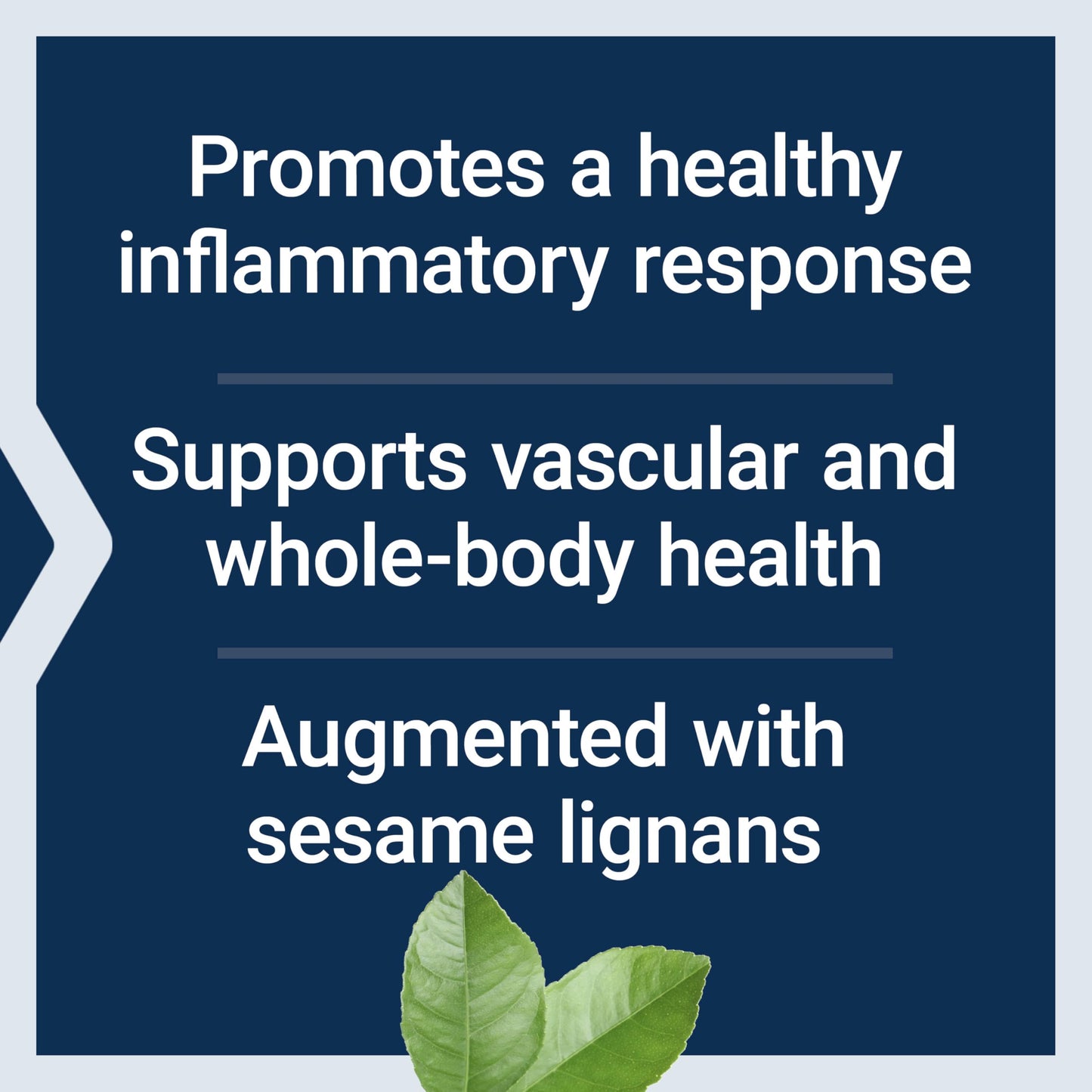 Life Extension Mega GLA Sesame Lignans Softgel 30
