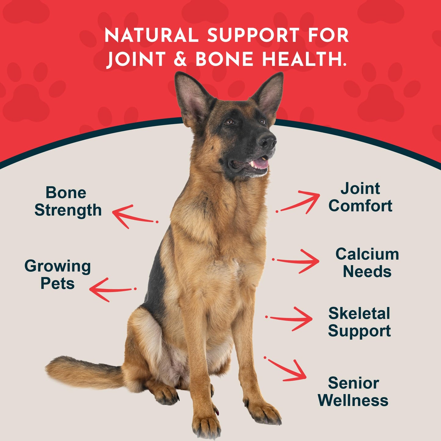Animal Essentials Seaweed Calcium Supplement for Dogs & Cats, Powder, 24-Count