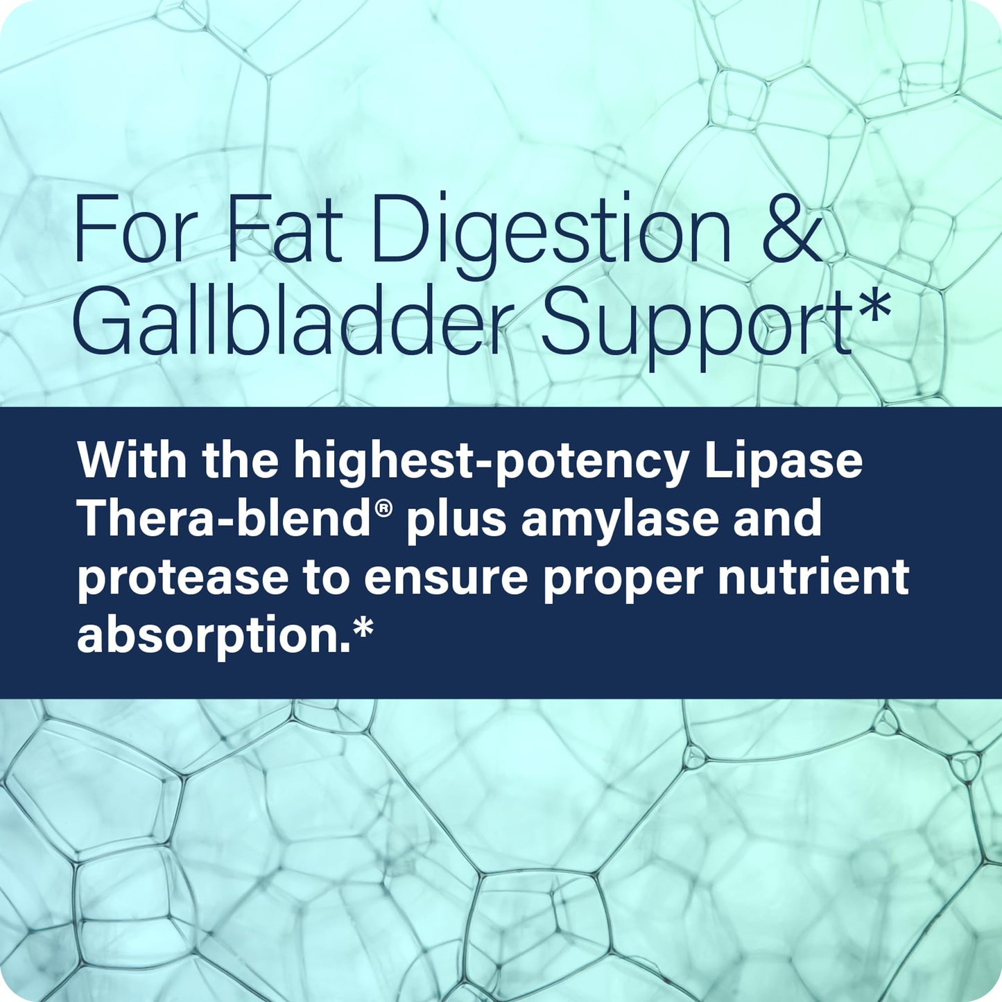 Enzyme Science Lypo Optimize Protease, Amylase & Lipase Digestive Enzymes for Women & Men, Fat Digestion, Gut Health & Gallbladder Support - 90 Capsules