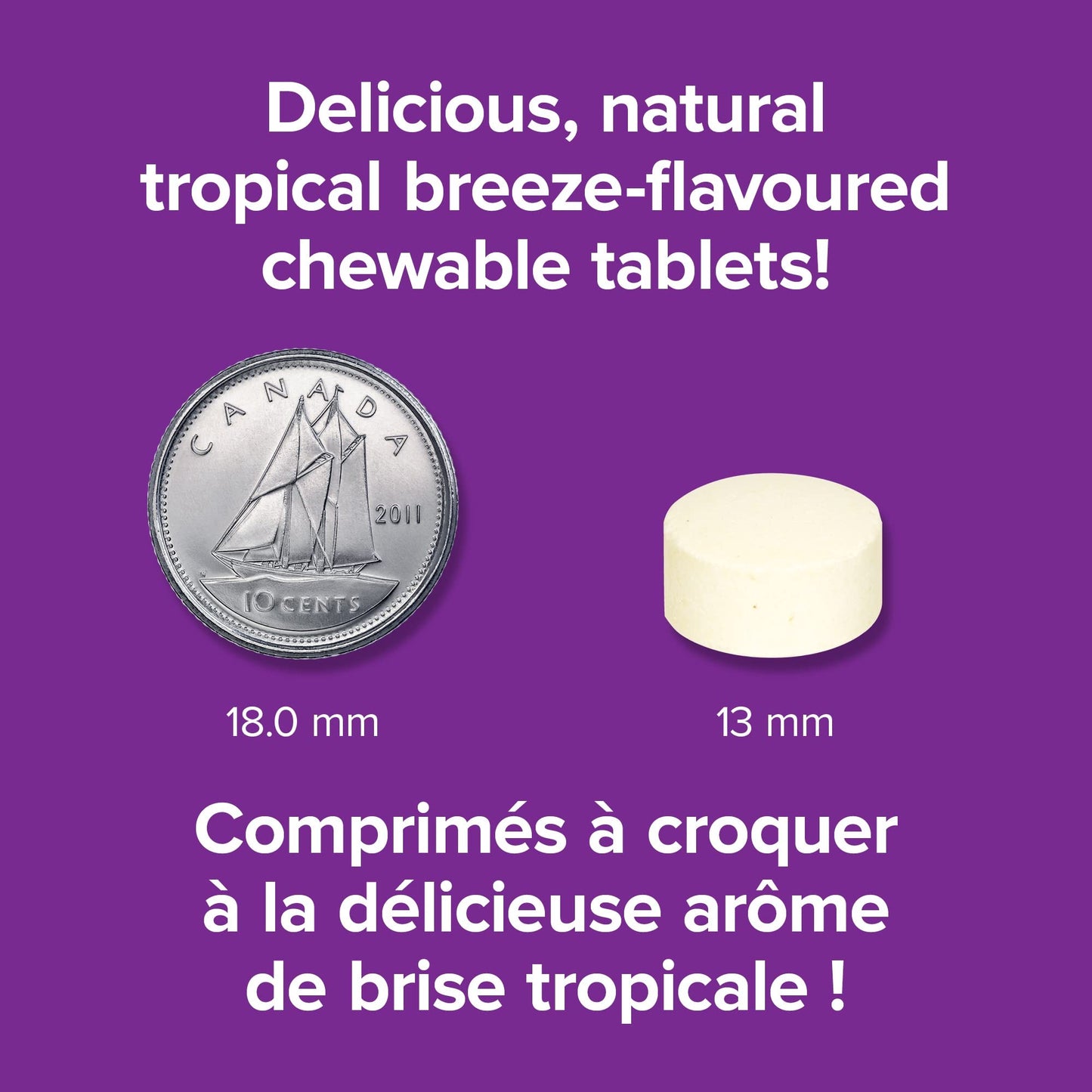 Webber Naturals Vitamin C Chewable 500 mg Tropical Breeze Flavour Tablets, 120 Count