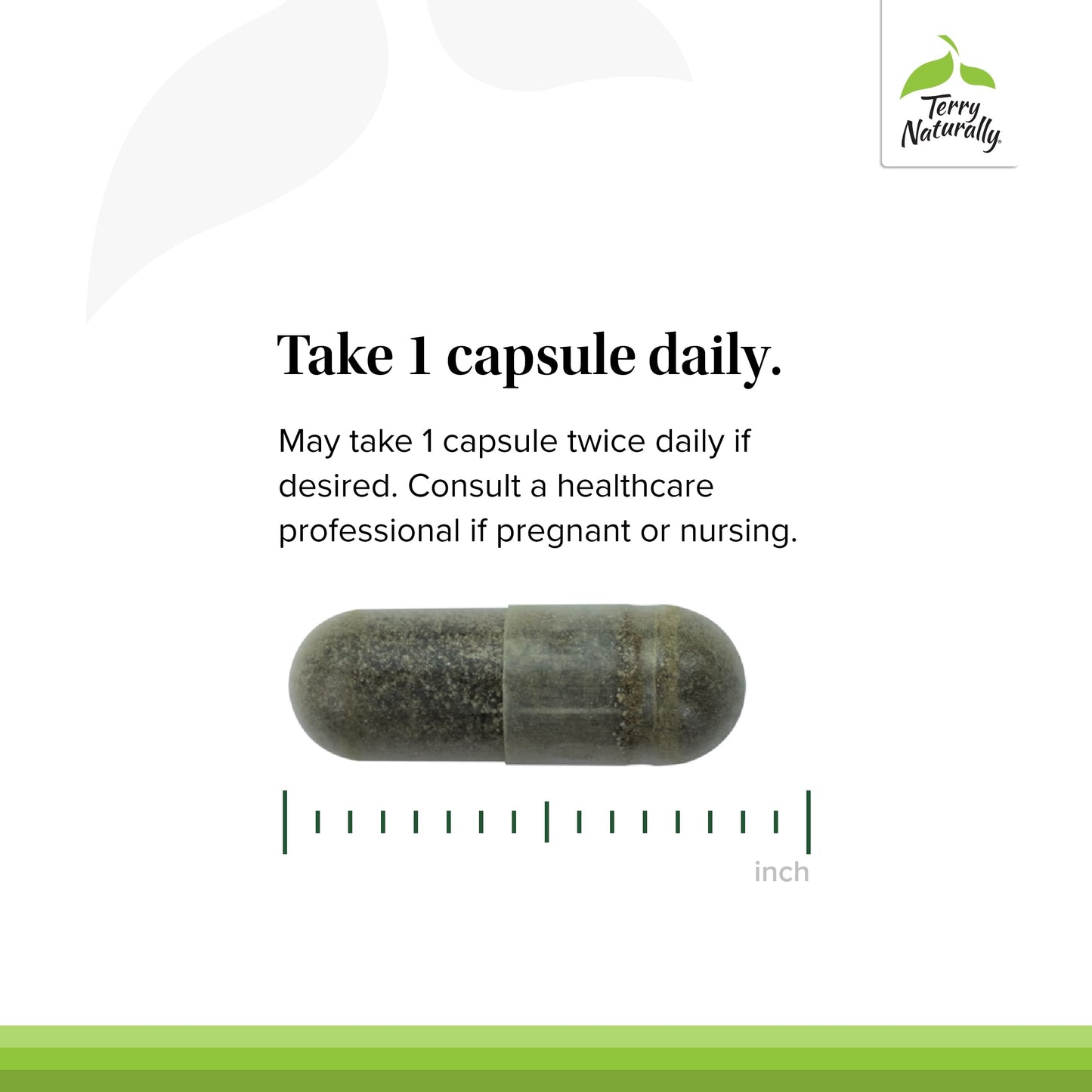 Terry Naturally Andrographis EP80 Extra Strength, 120 Capsules
