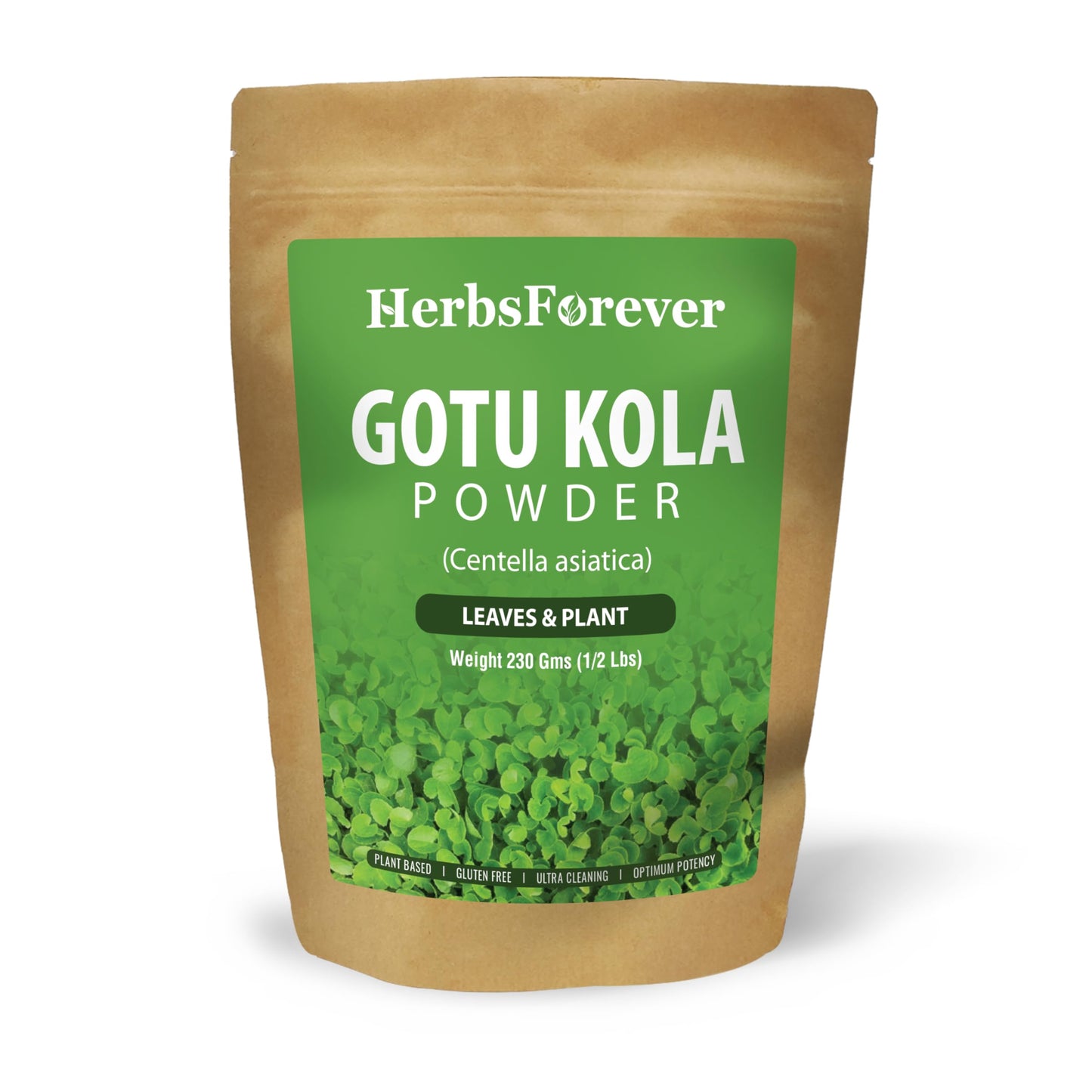 Herbsforever Gotu Kola Powder (Centella Asiatica) 8 Ounce