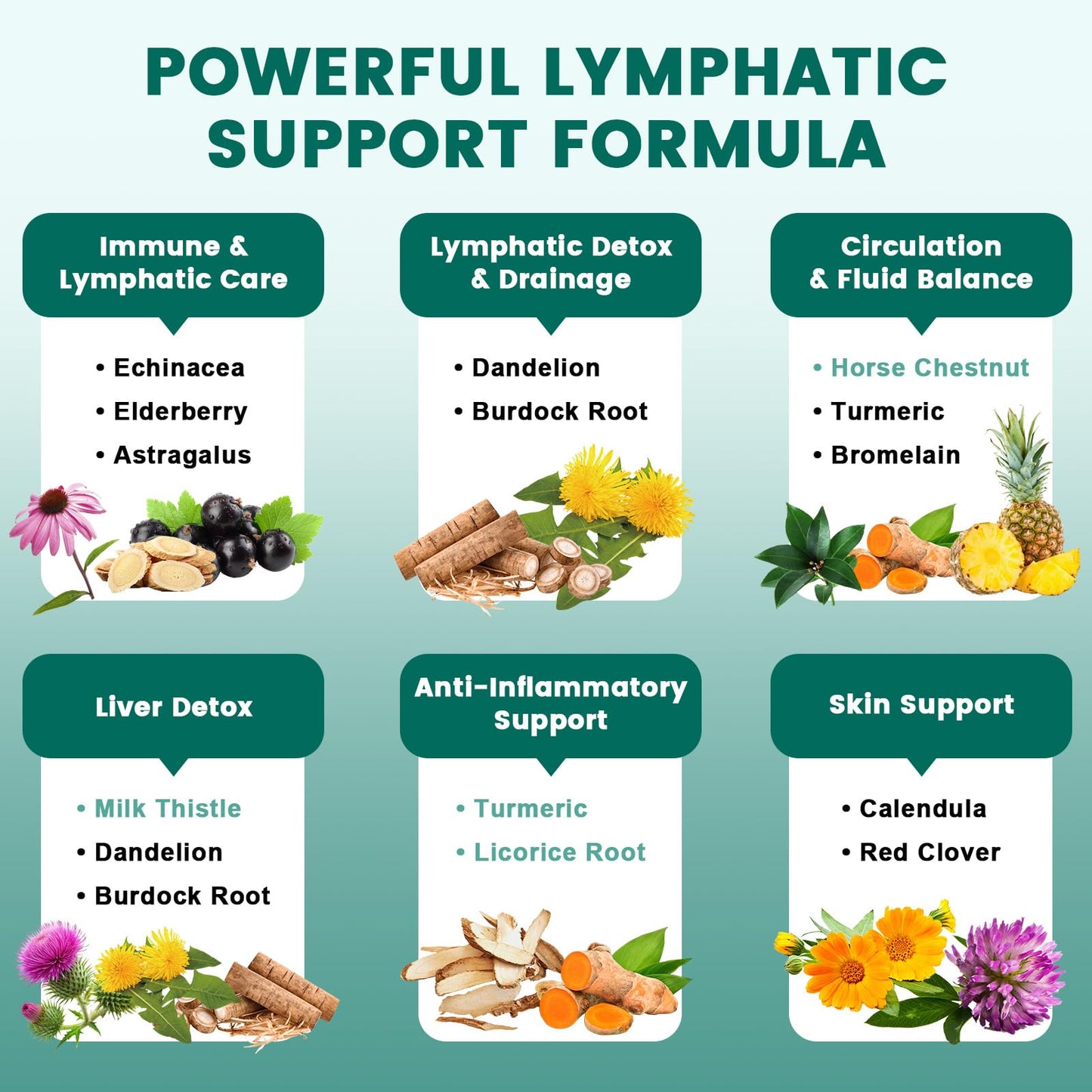 YANLUOBO Lymphatic Drainage Capsules – Advanced Lymphatic System Support with Echinacea, Dandelion, Bromelain, Horse Chestnut, Immune & Liver Health, 60 Capsules