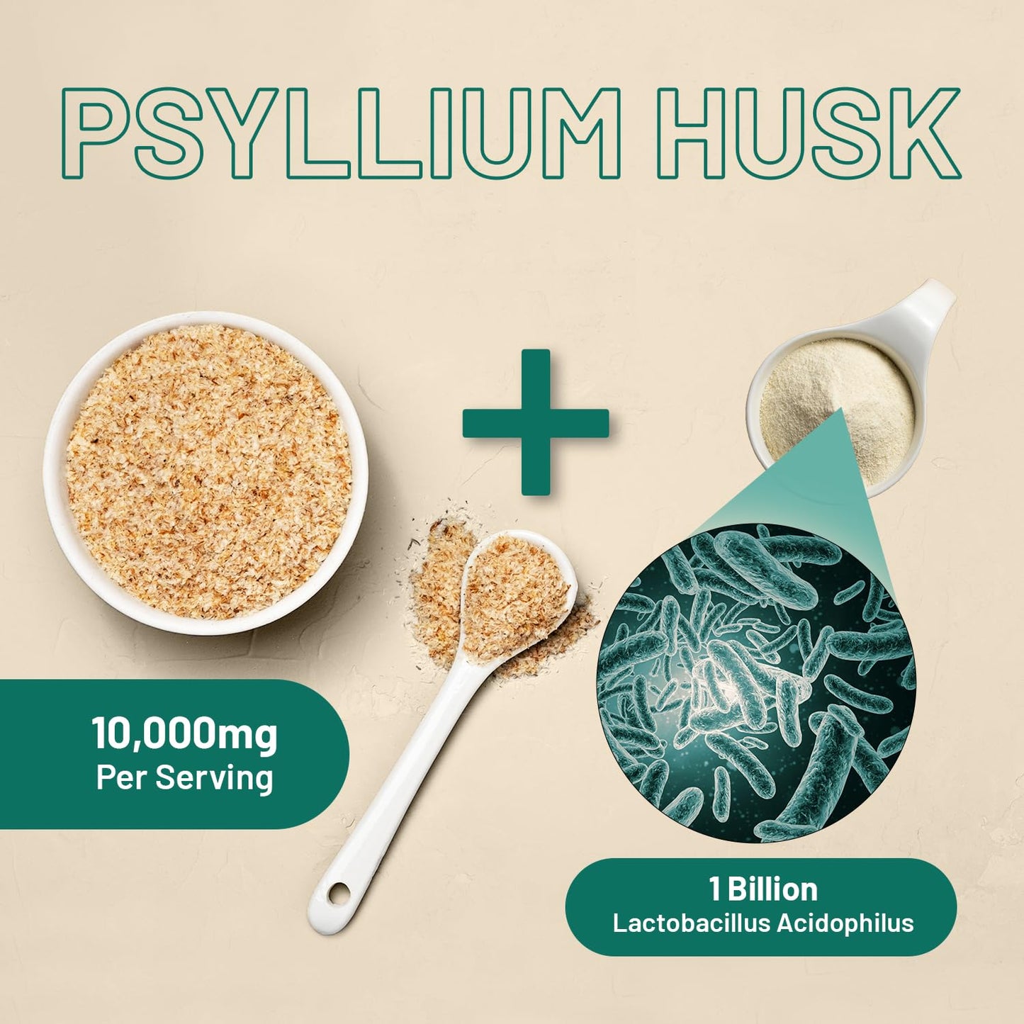 PH PROWISE Healthcare Psyllium Husk 10000mg with Acidophilus 1 Billion CFU, 120 Capsules