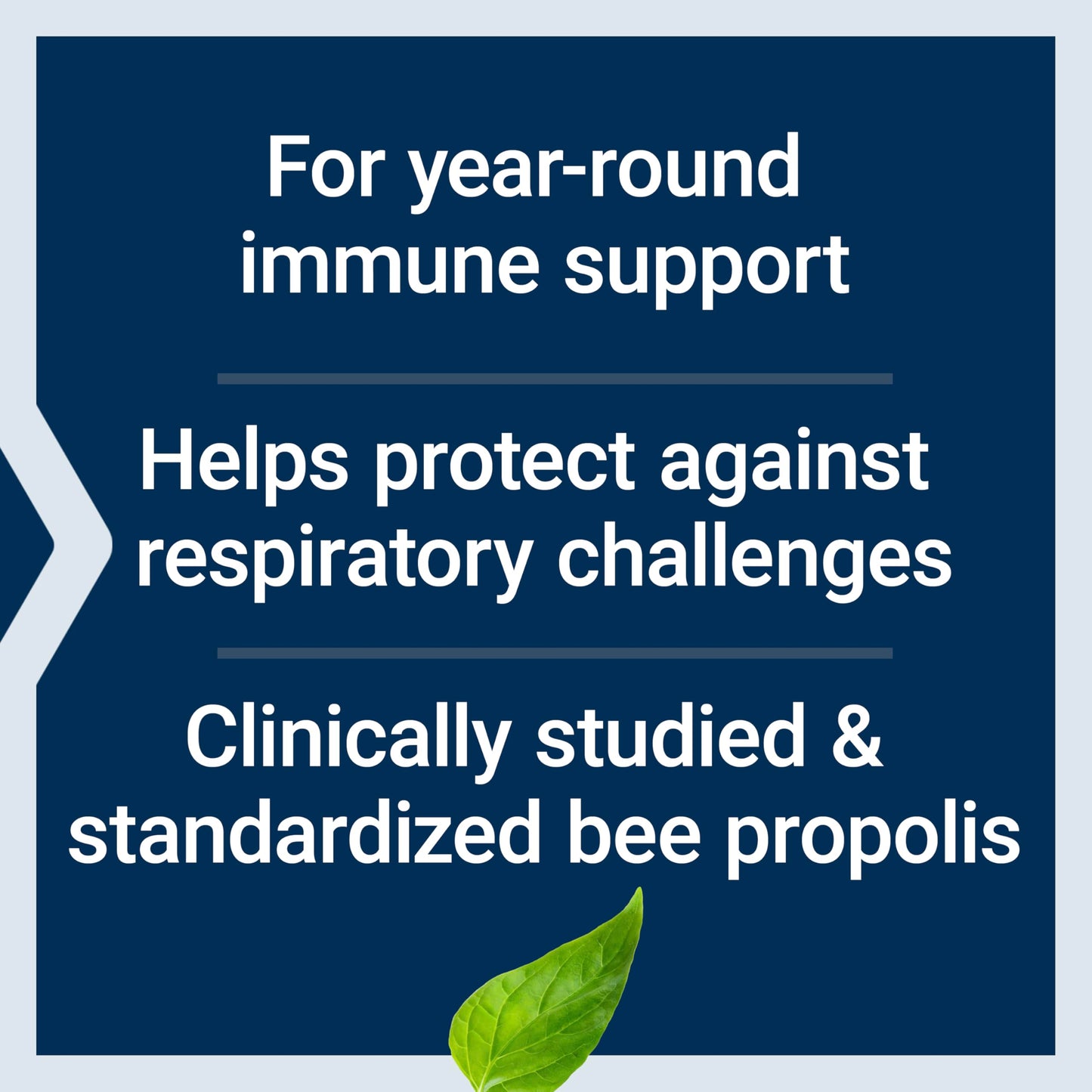 Life Extension Bee Immune Propolis Capsules 60 Count