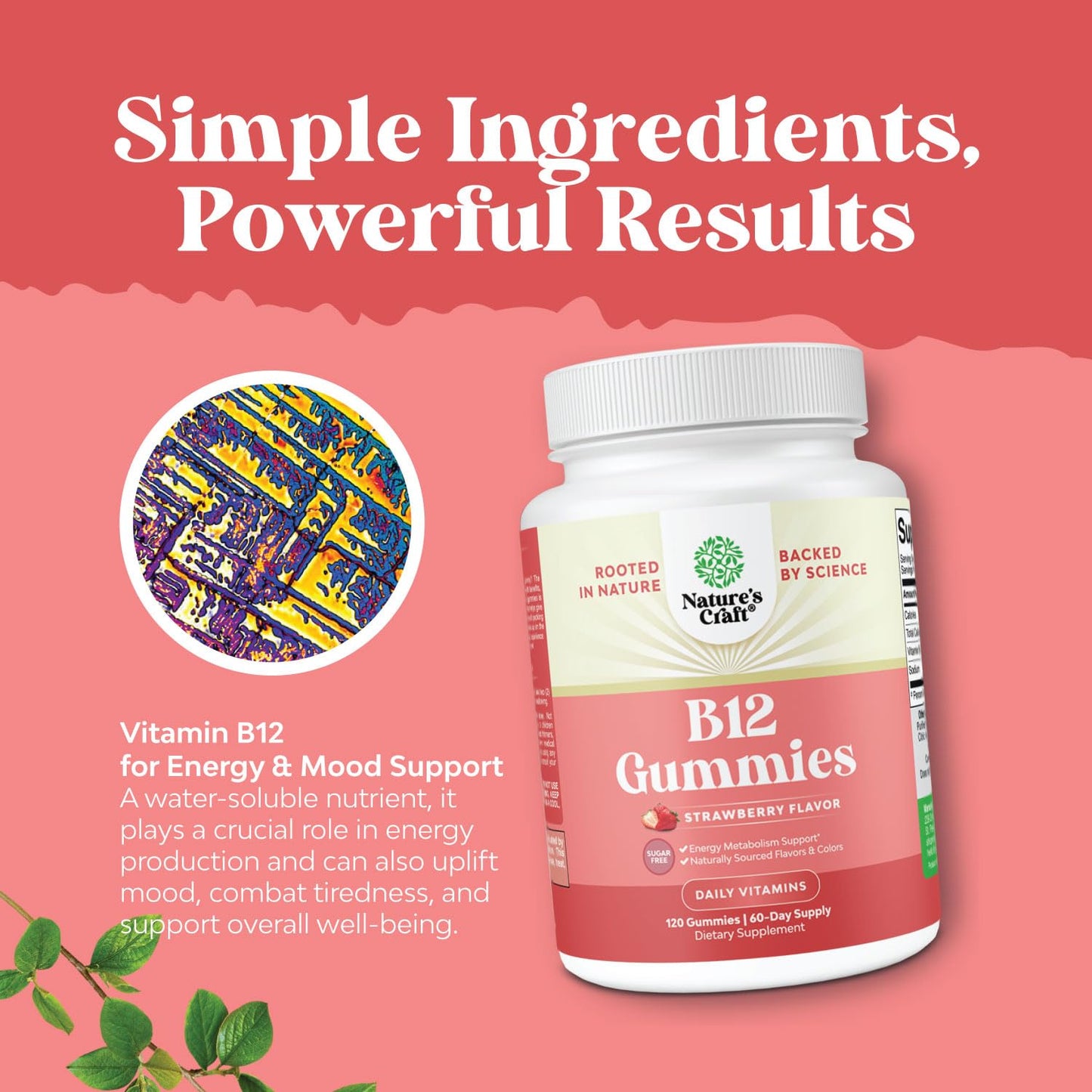 Natures Craft Vitamin B12 Gummies 1000mcg Sugar Free, 120 Count