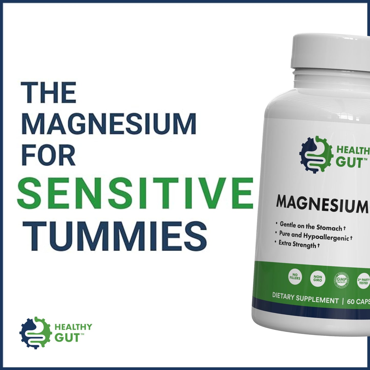 Healthy Gut Magnesium-HP Ultra Pure Magnesium Glycinate Capsules, 60 Count