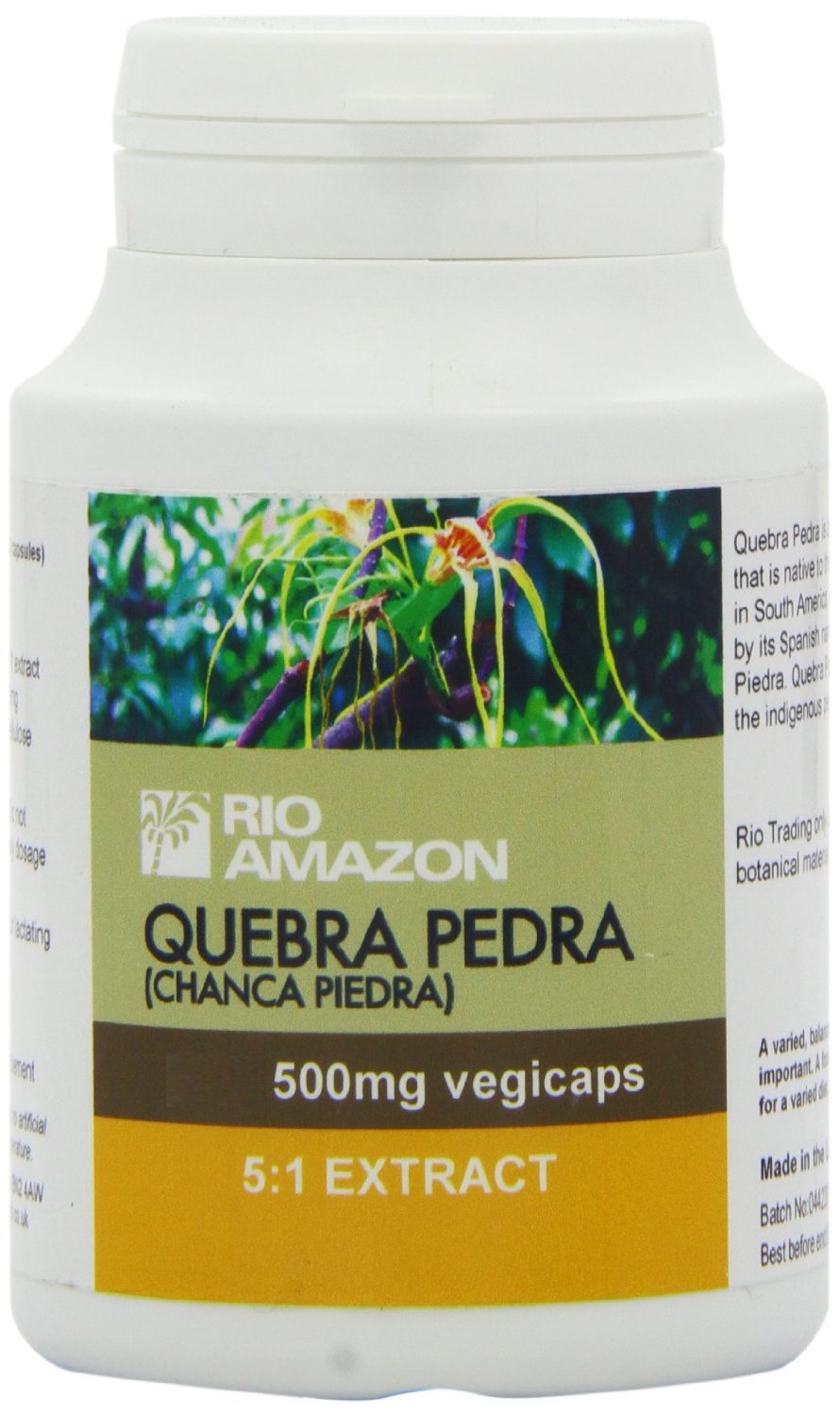 RIO AMAZON Quebra Pedra (Chanca Piedra) 500mg Capsule, 120 vcaps