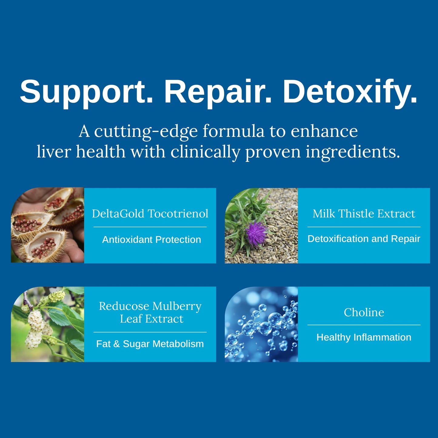 Xtendlife Total Liver Care Supplement Capsules 60
