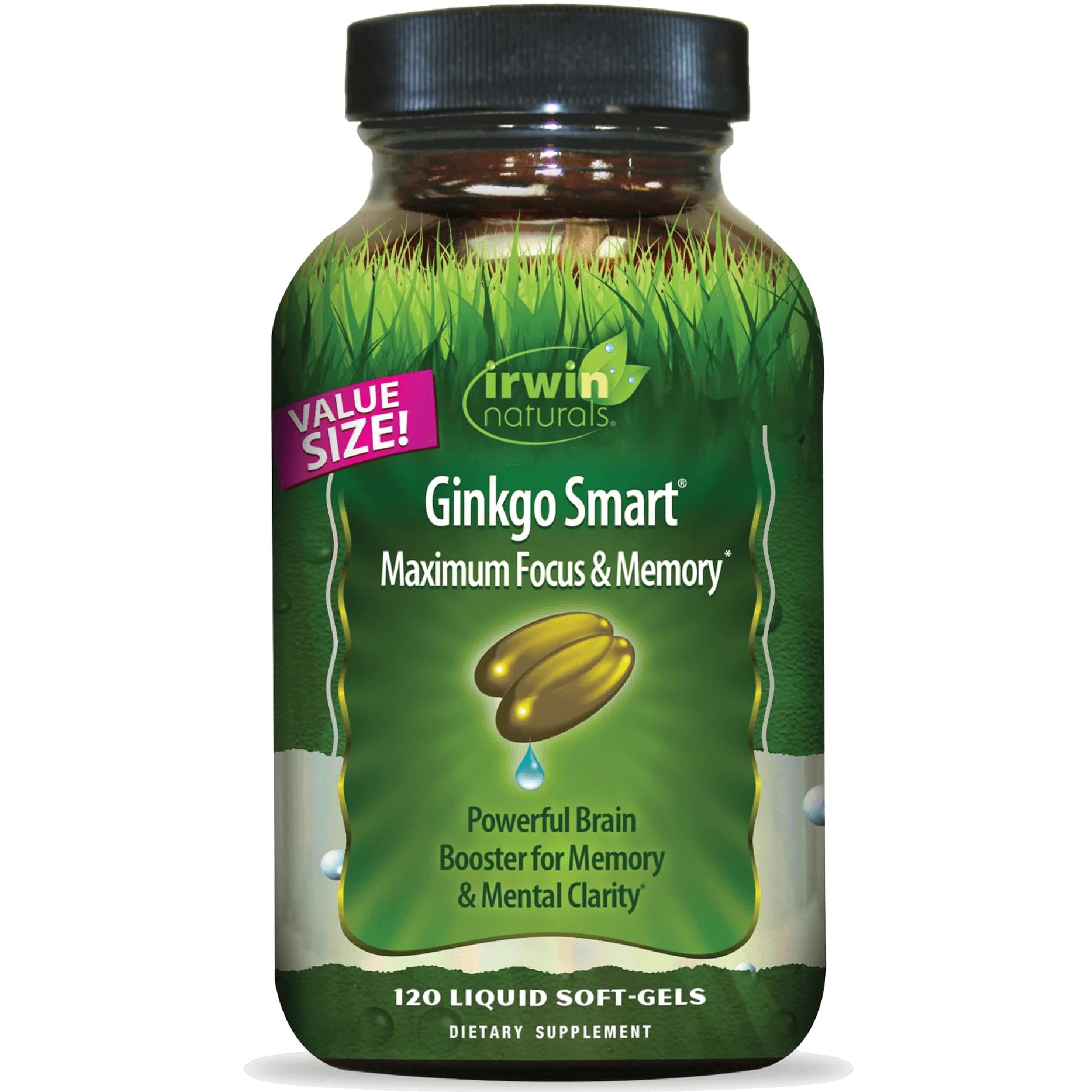 Irwin Naturals Ginkgo Smart Soft-Gels 120-count