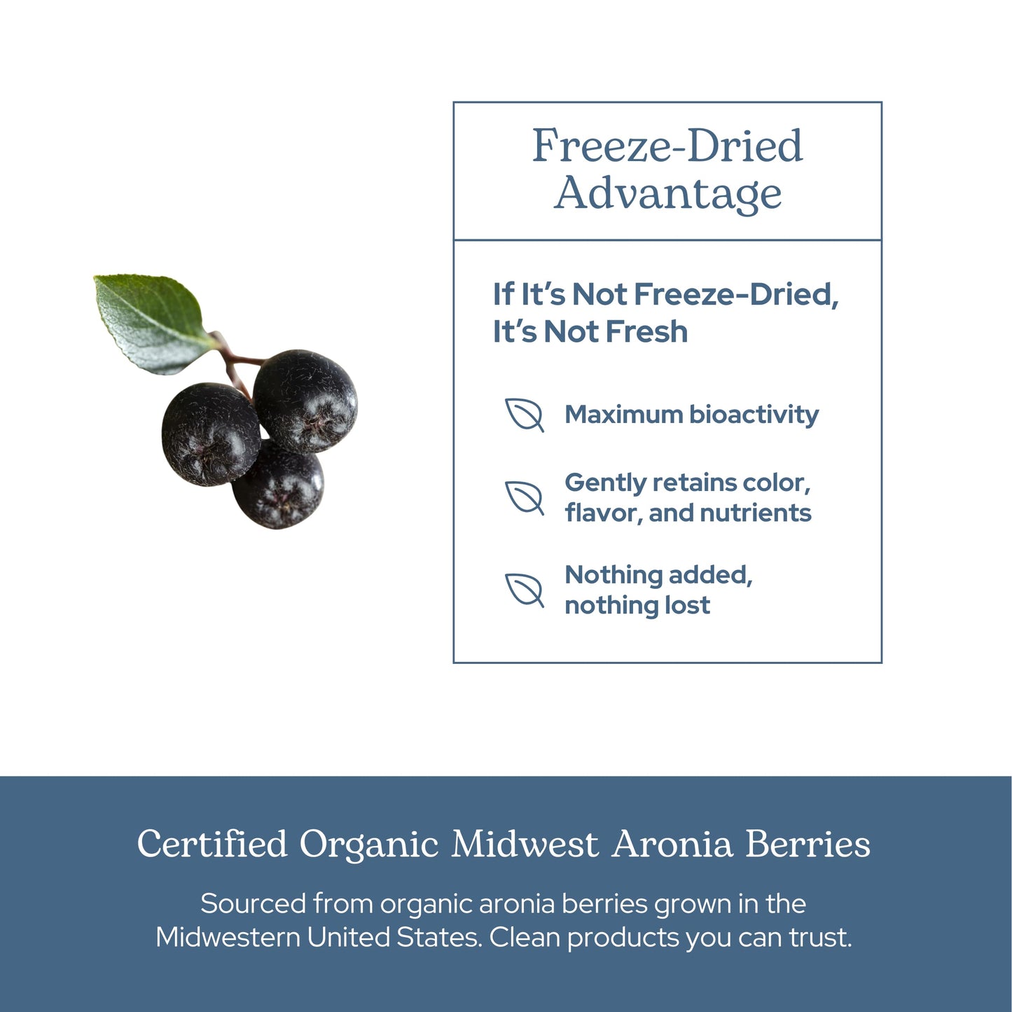 Eclectic Institute Raw Freeze-Dried Organic Aronia Berry Capsules, 90 Count