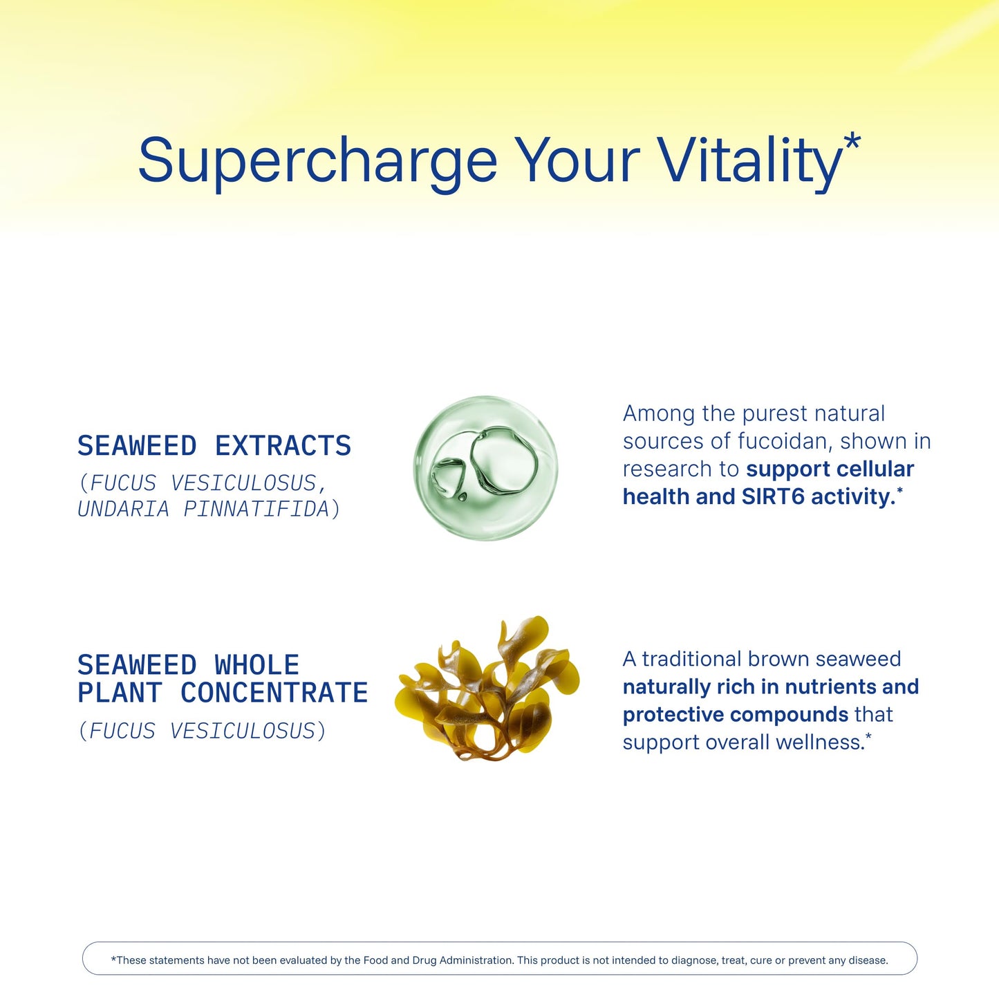 ProHealth Sirtuin 6 Activator, 60 Capsules
