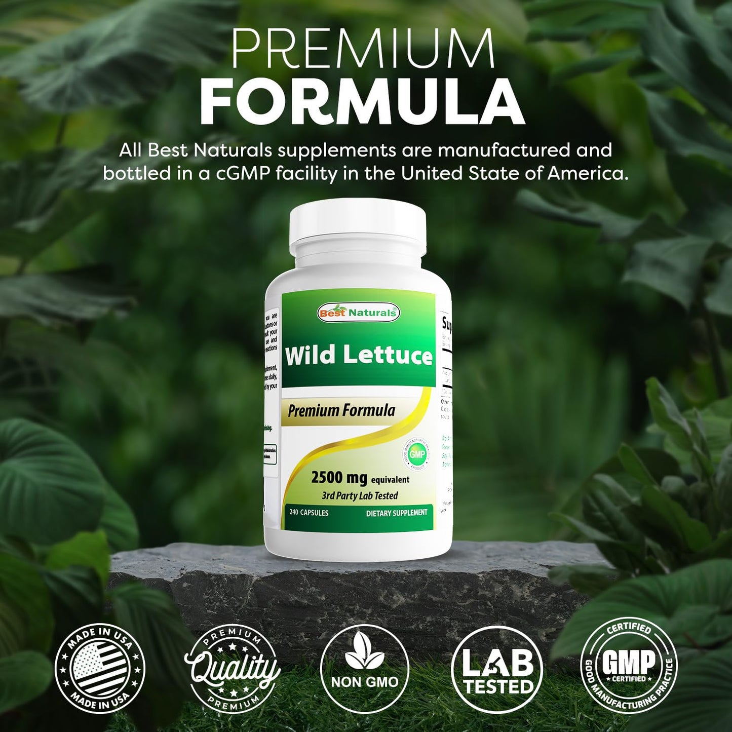 Best Naturals Wild Lettuce 10:1 Extract 250 mg Capsules 240 Count