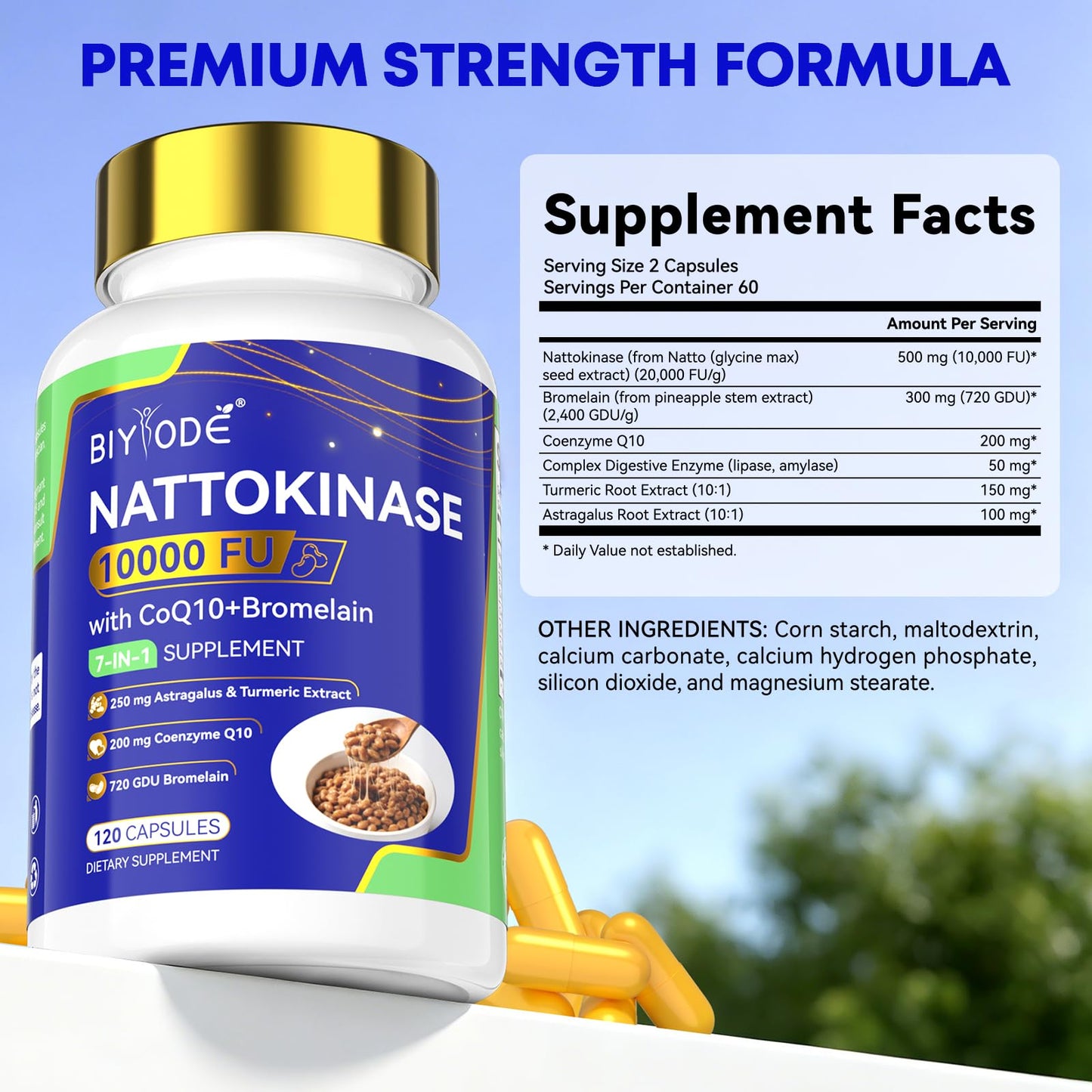 BIYODE Nattokinase 10000 FU Capsules, 120 Count