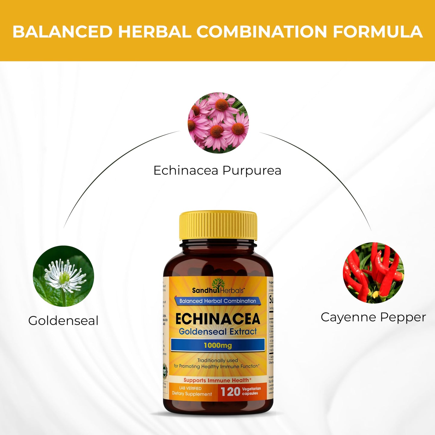 SANDHUHERBALS Echinacea Goldenseal 1000 Mg Capsule 120 Count