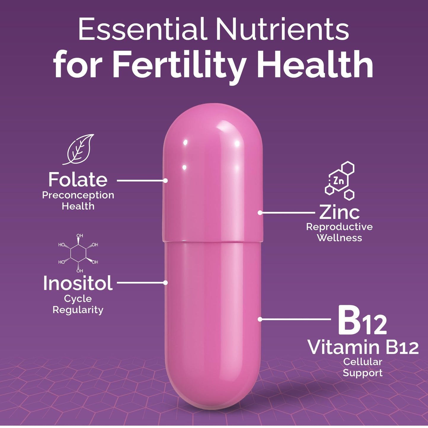 CONCEIVE PLUS Womens Fertility Support Prenatal Multivitamin Capsules 60 Count