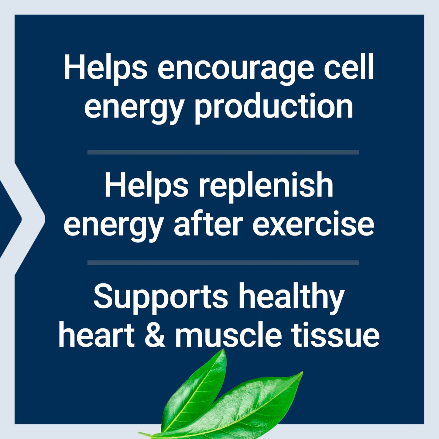 Life Extension D-Ribose Powder 5.29 oz