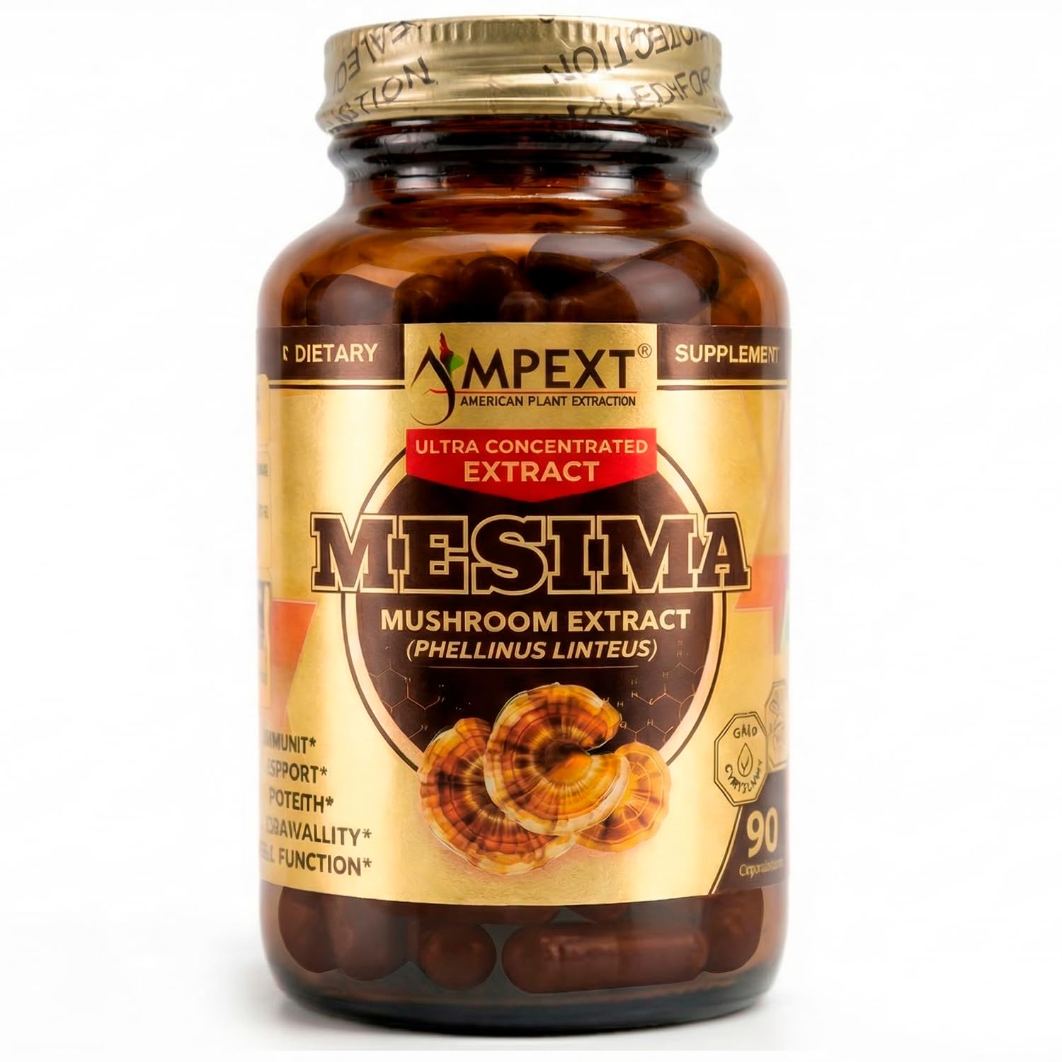 AMPEXT Phellinus linteus Mushroom Extract Capsule, 90 Veg Caps