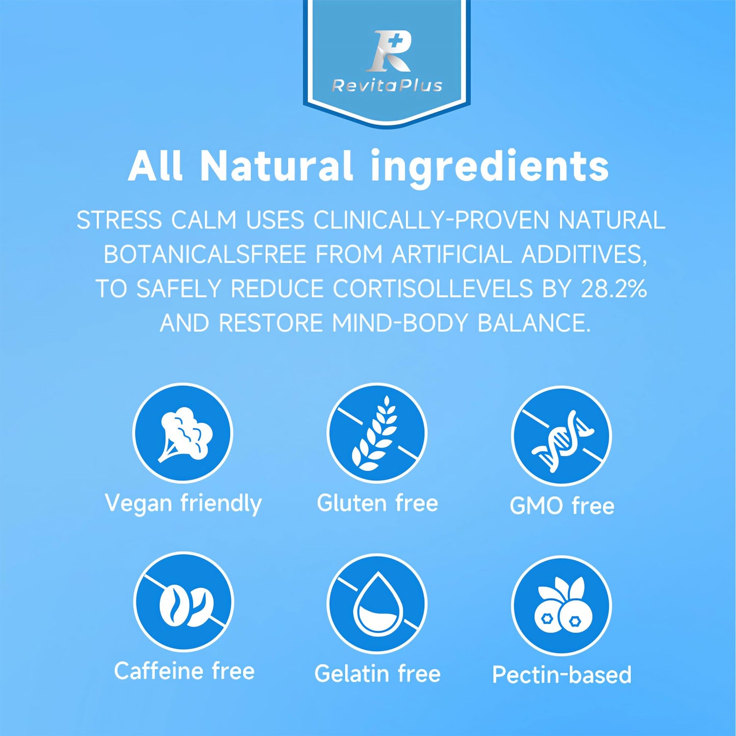 RevitaPlus 8-in-1 Ashwagandha Supplements with B12 B6 Magnesium Maca Zinc Folate Capsules, 90 Count